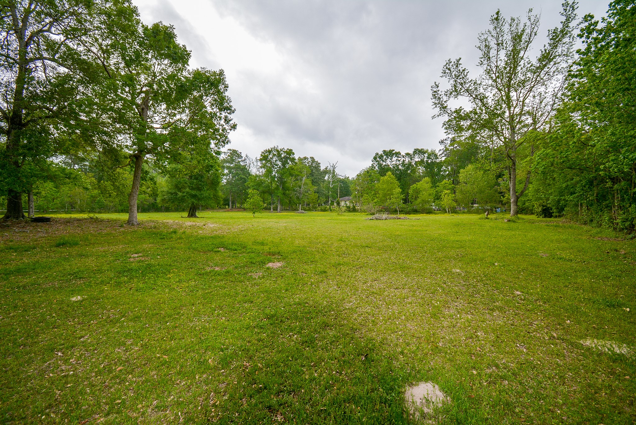TBD Lake Dr , Splendora, TX, 77372 | 15017686 | Realty Texas LLC