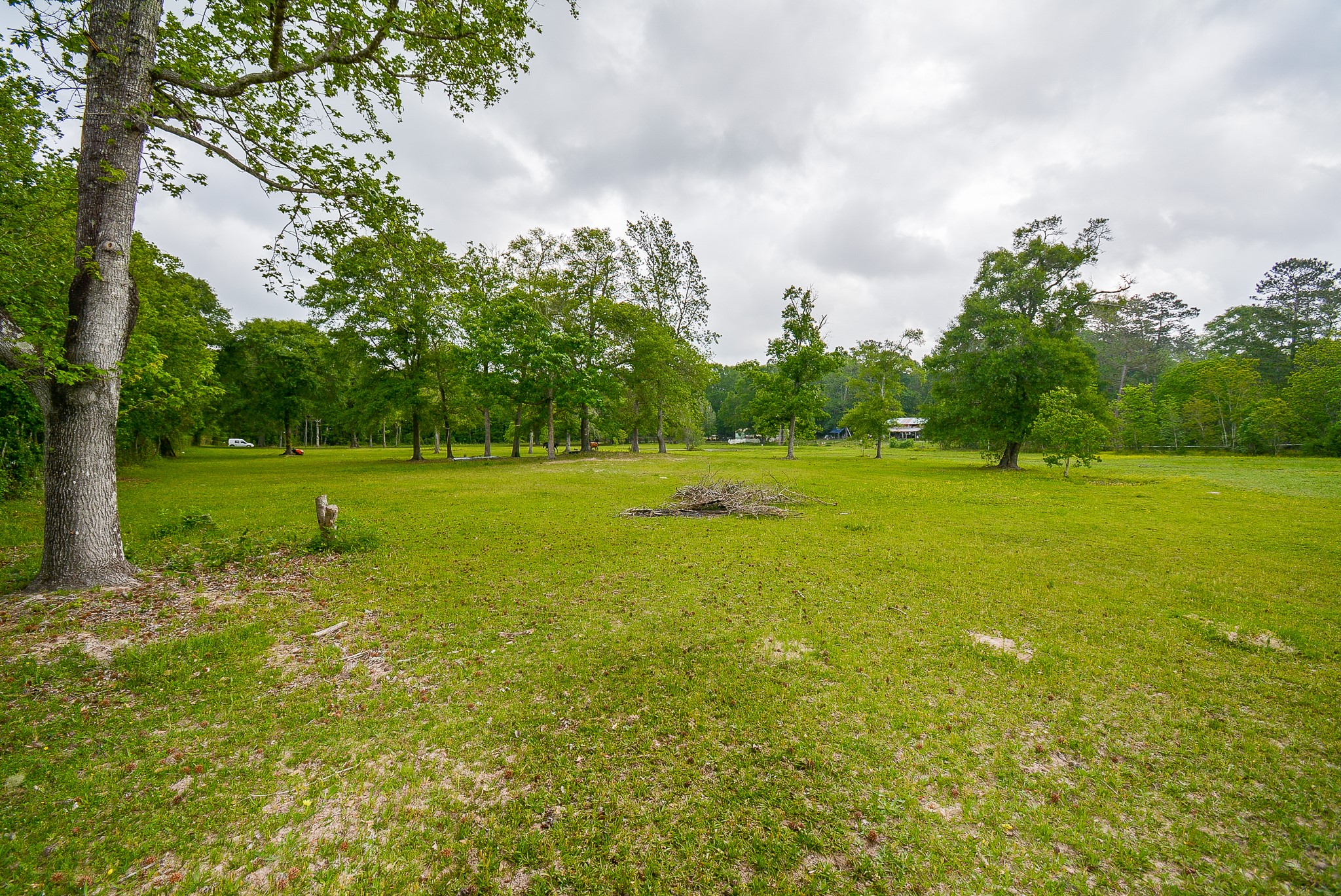 TBD Lake Dr , Splendora, TX, 77372 | 15017686 | Realty Texas LLC