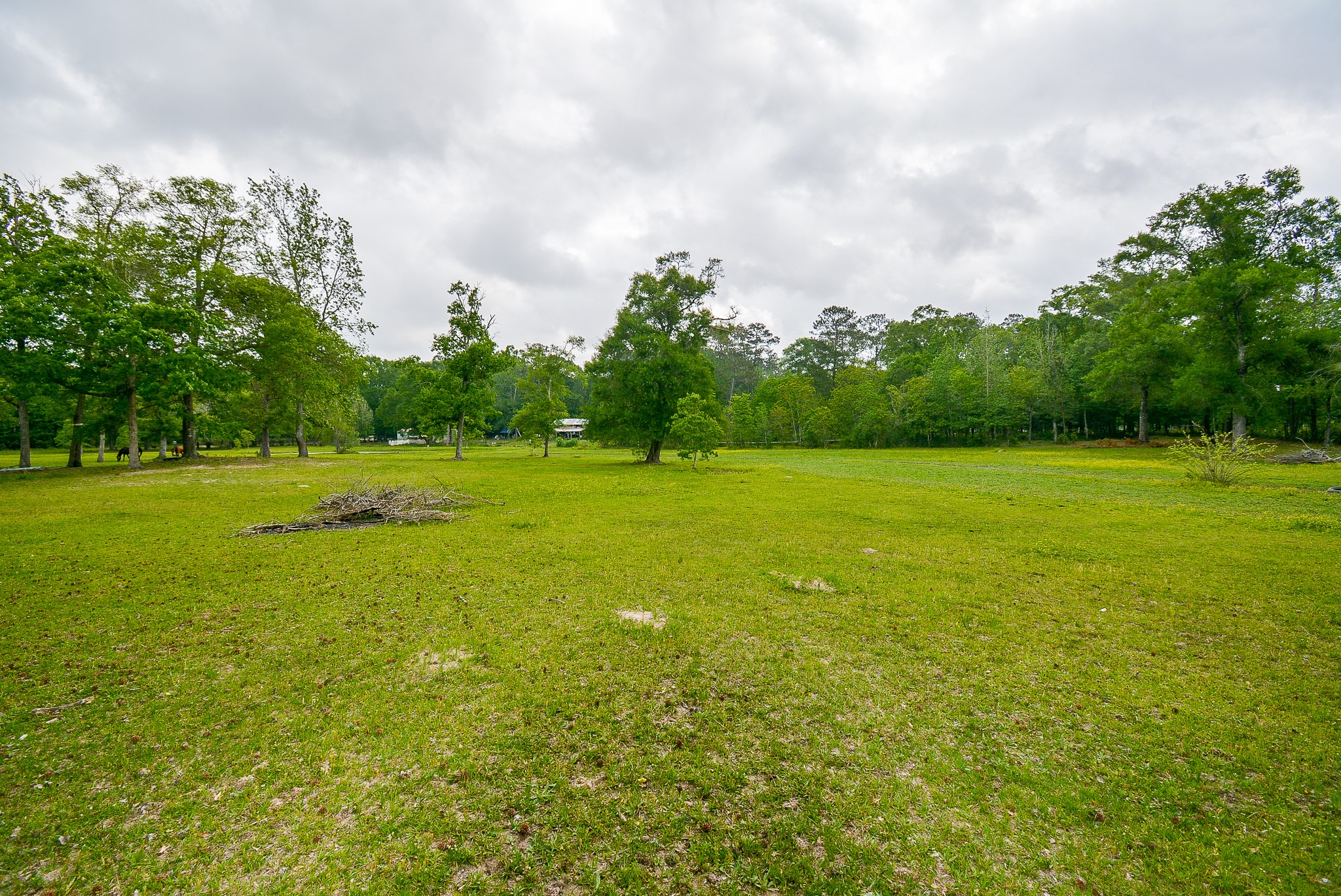 TBD Lake Dr , Splendora, TX, 77372 | 15017686 | Realty Texas LLC