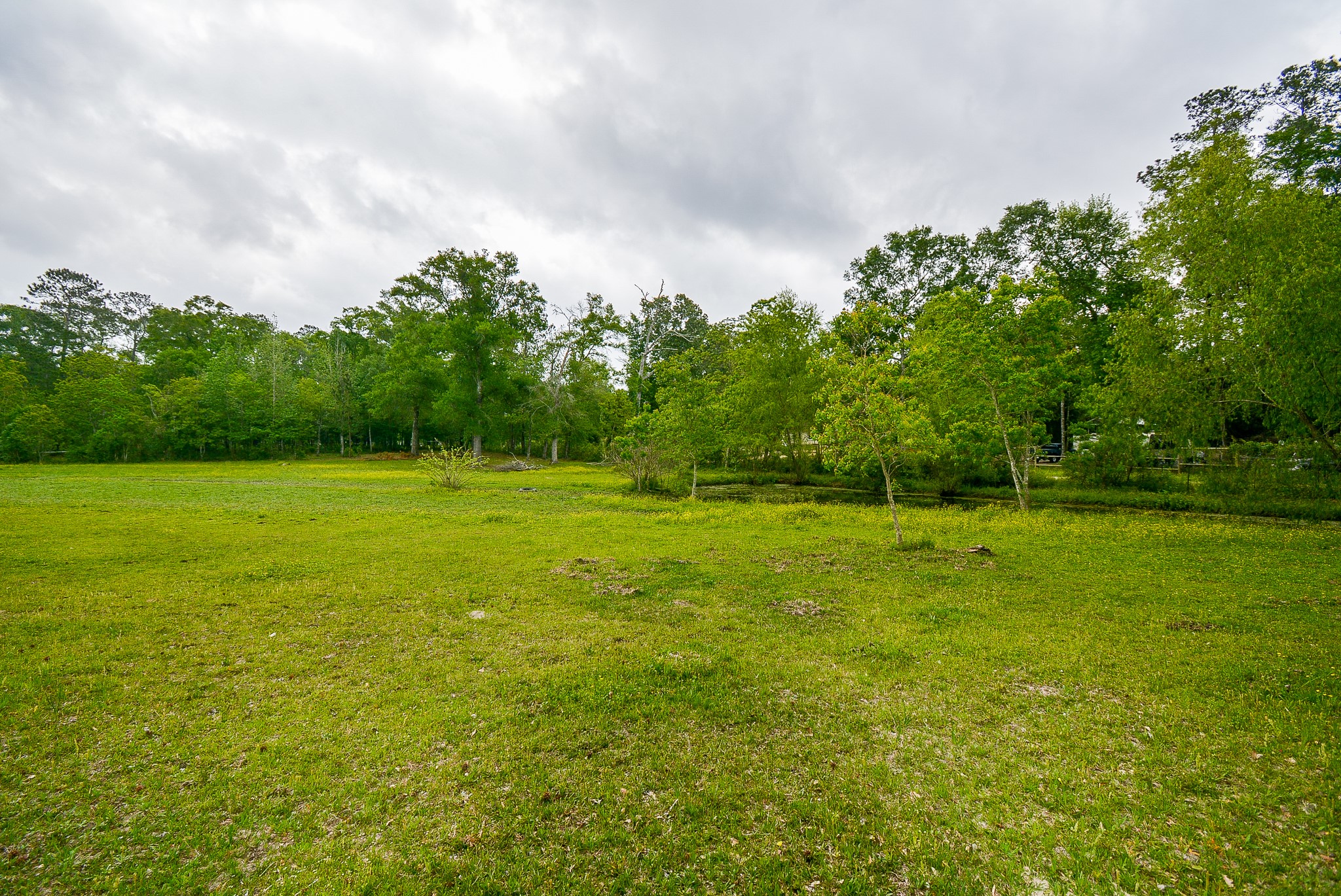 TBD Lake Dr , Splendora, TX, 77372 | 15017686 | Realty Texas LLC