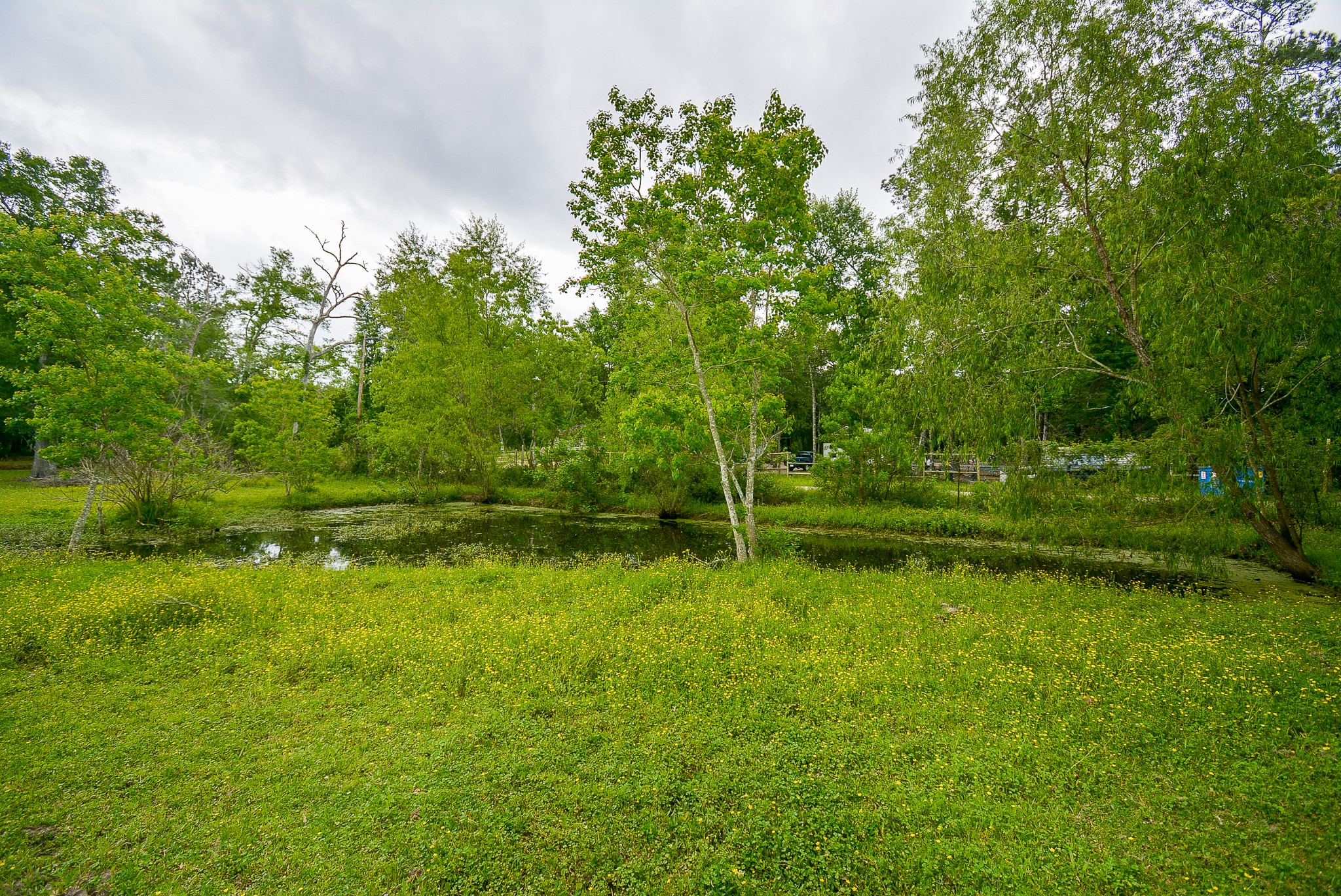 TBD Lake Dr , Splendora, TX, 77372 | 15017686 | Realty Texas LLC