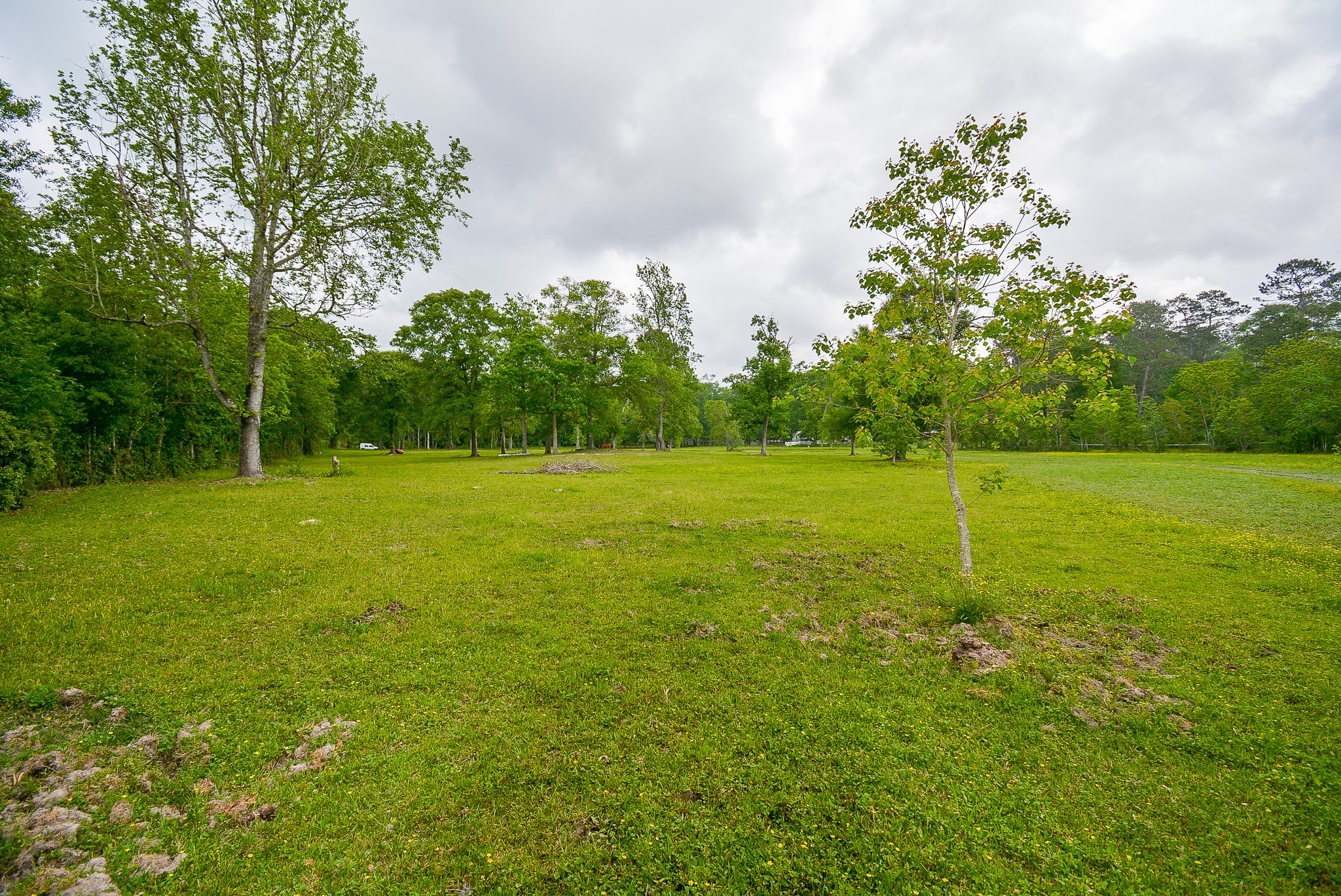TBD Lake Dr , Splendora, TX, 77372 | 15017686 | Realty Texas LLC