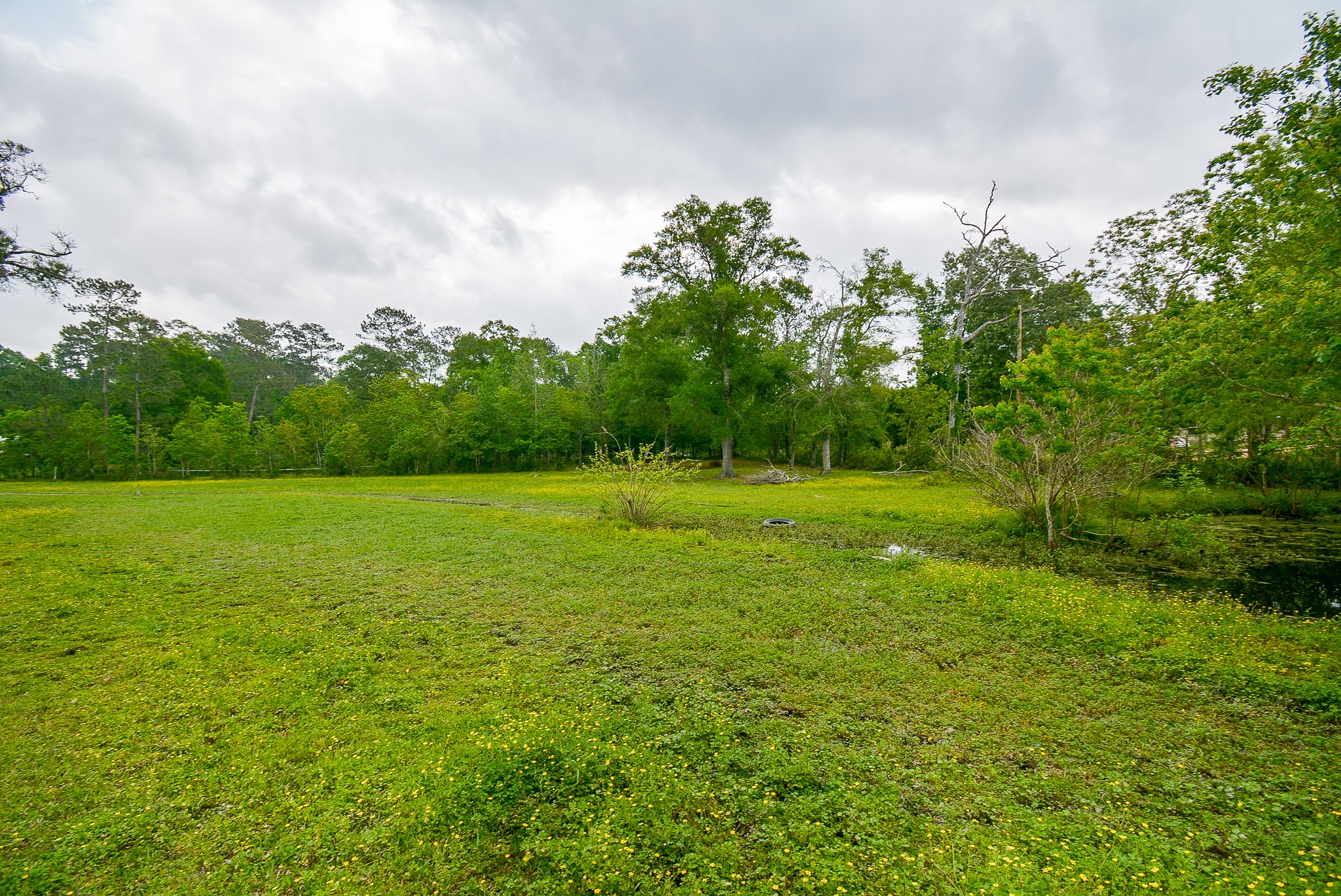TBD Lake Dr , Splendora, TX, 77372 | 15017686 | Realty Texas LLC