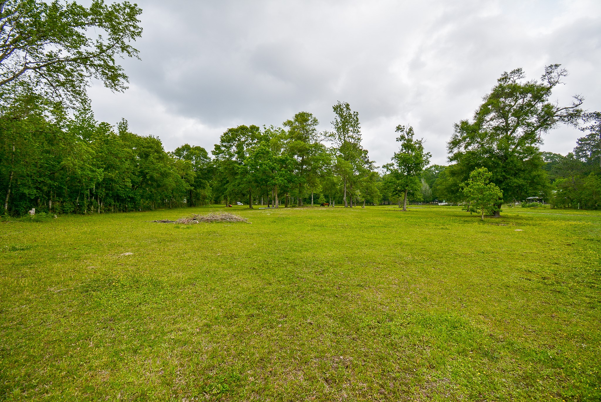 TBD Lake Dr , Splendora, TX, 77372 | 15017686 | Realty Texas LLC