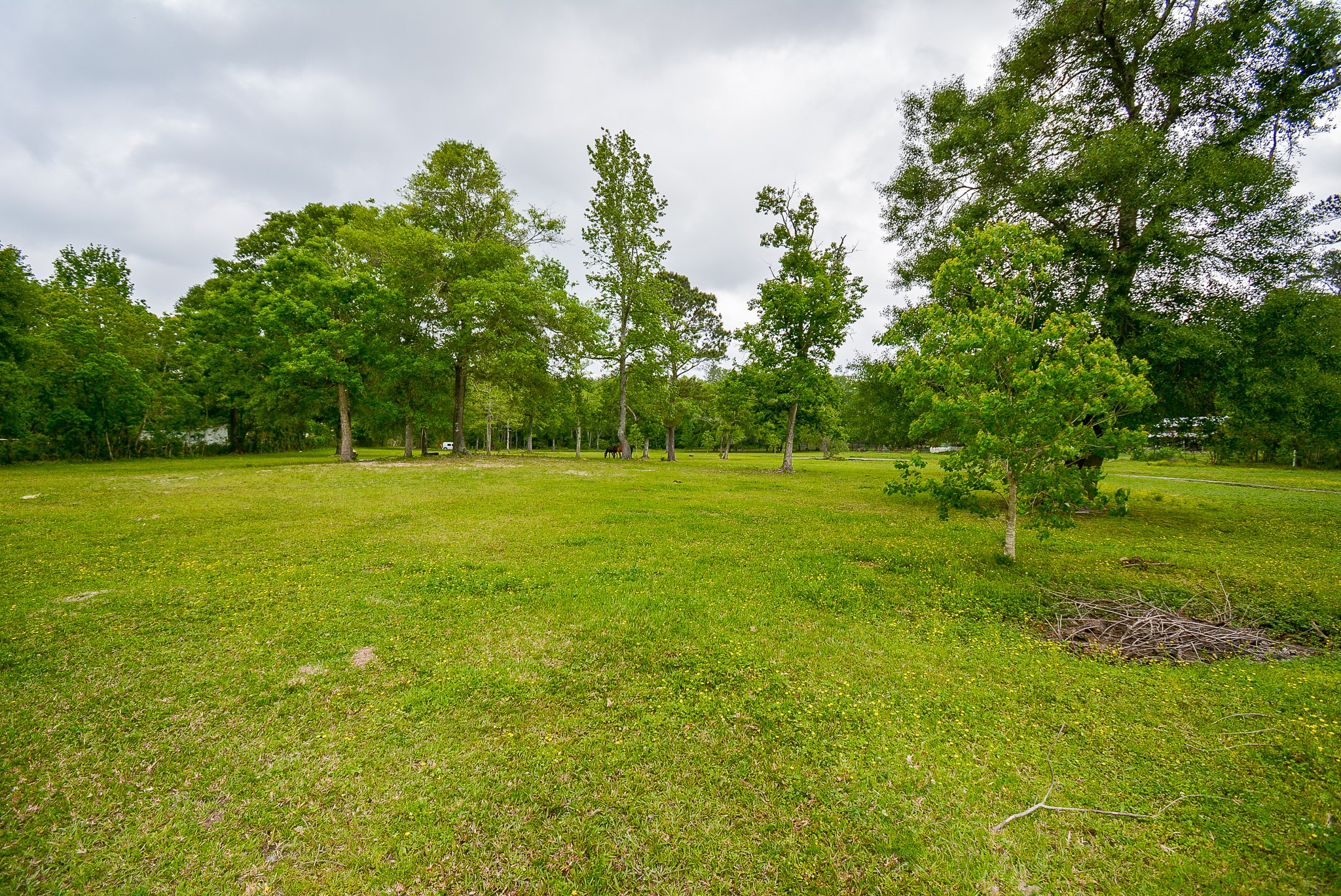 TBD Lake Dr , Splendora, TX, 77372 | 15017686 | Realty Texas LLC
