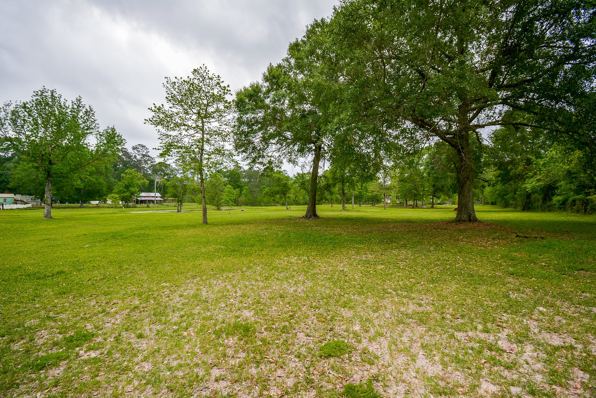 TBD Lake Dr , Splendora, TX, 77372 | 15017686 | Realty Texas LLC
