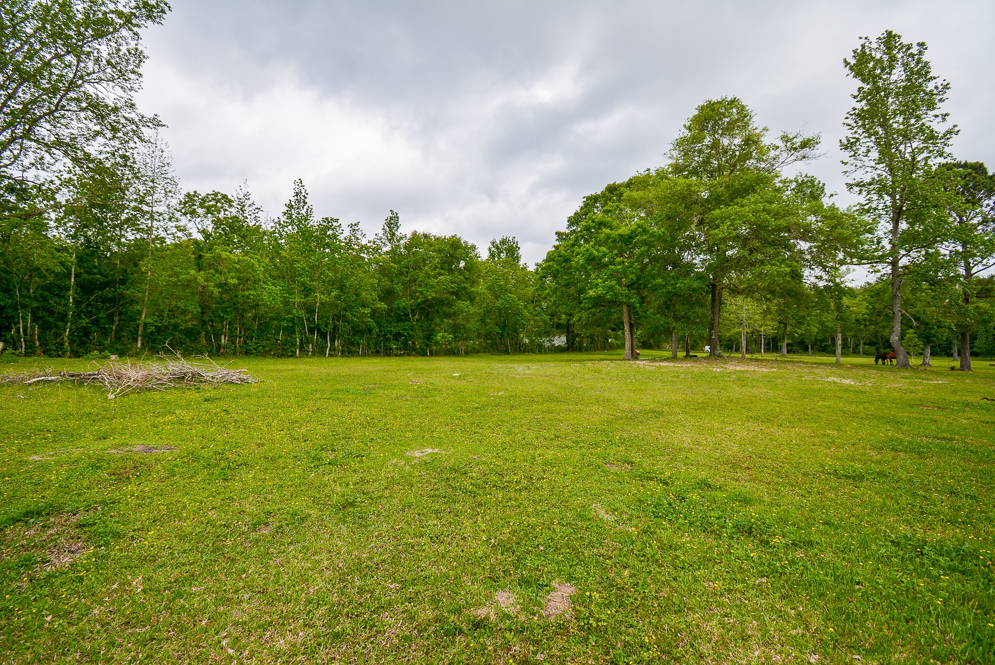 TBD Lake Dr , Splendora, TX, 77372 | 15017686 | Realty Texas LLC