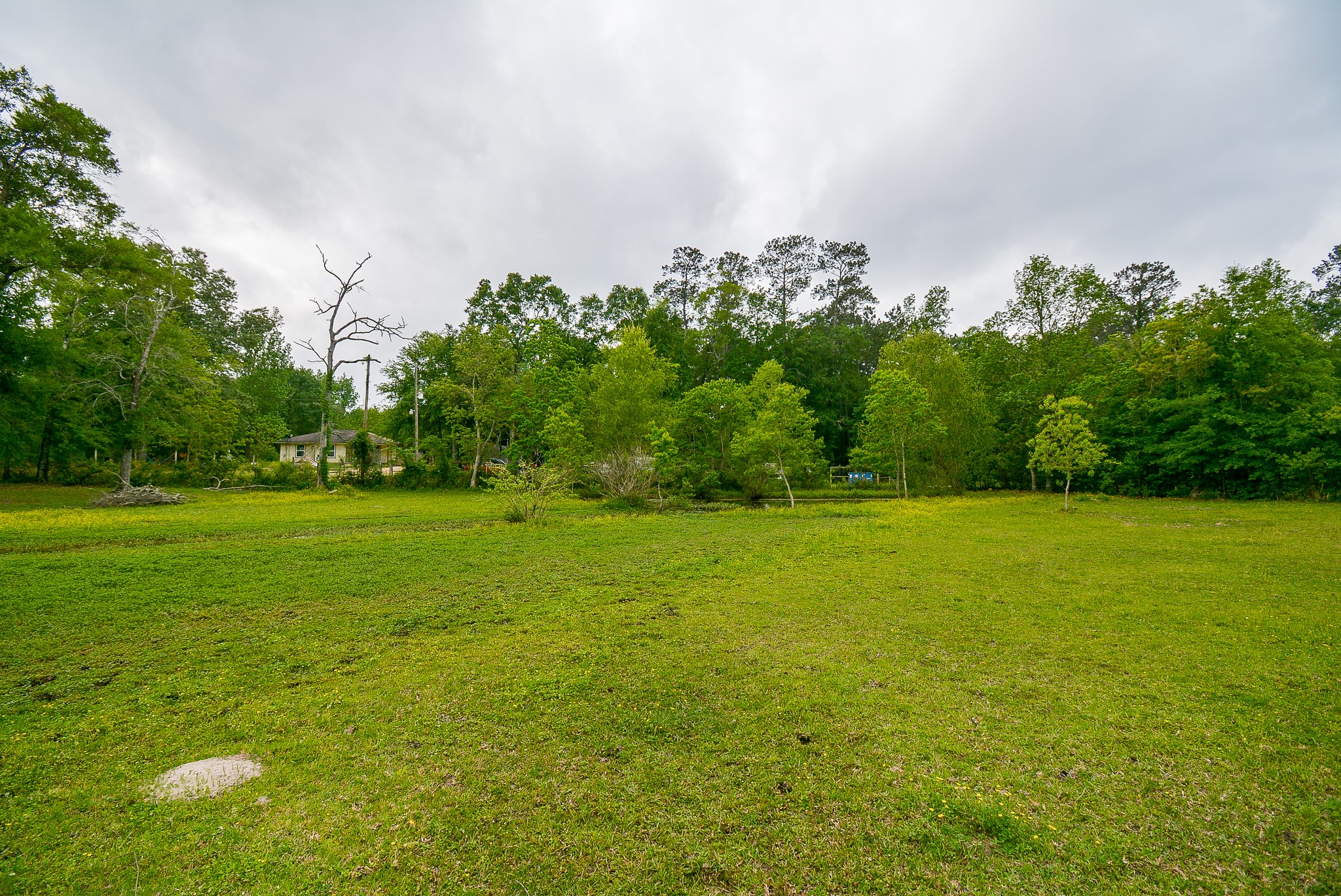 TBD Lake Dr , Splendora, TX, 77372 | 15017686 | Realty Texas LLC
