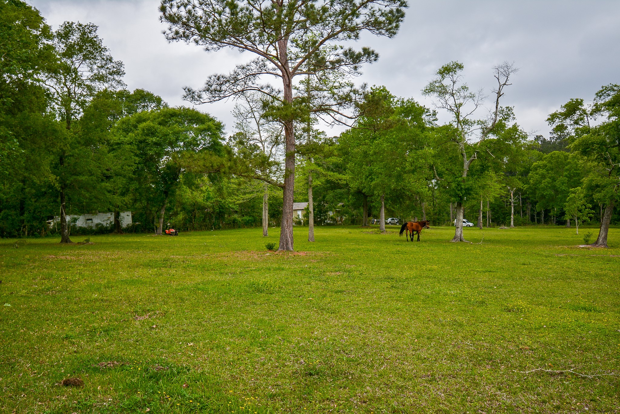 TBD Lake Dr , Splendora, TX, 77372 | 15017686 | Realty Texas LLC