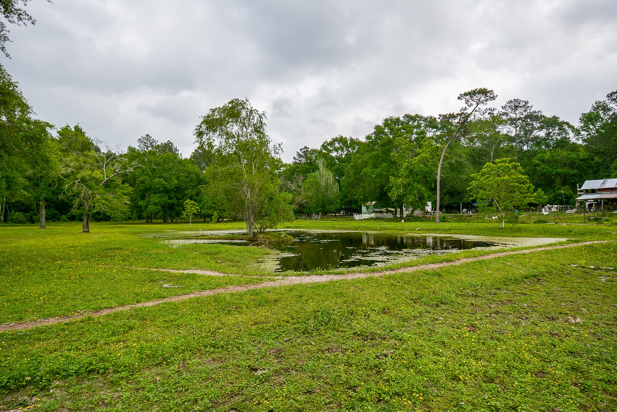 TBD Lake Dr , Splendora, TX, 77372 | 15017686 | Realty Texas LLC