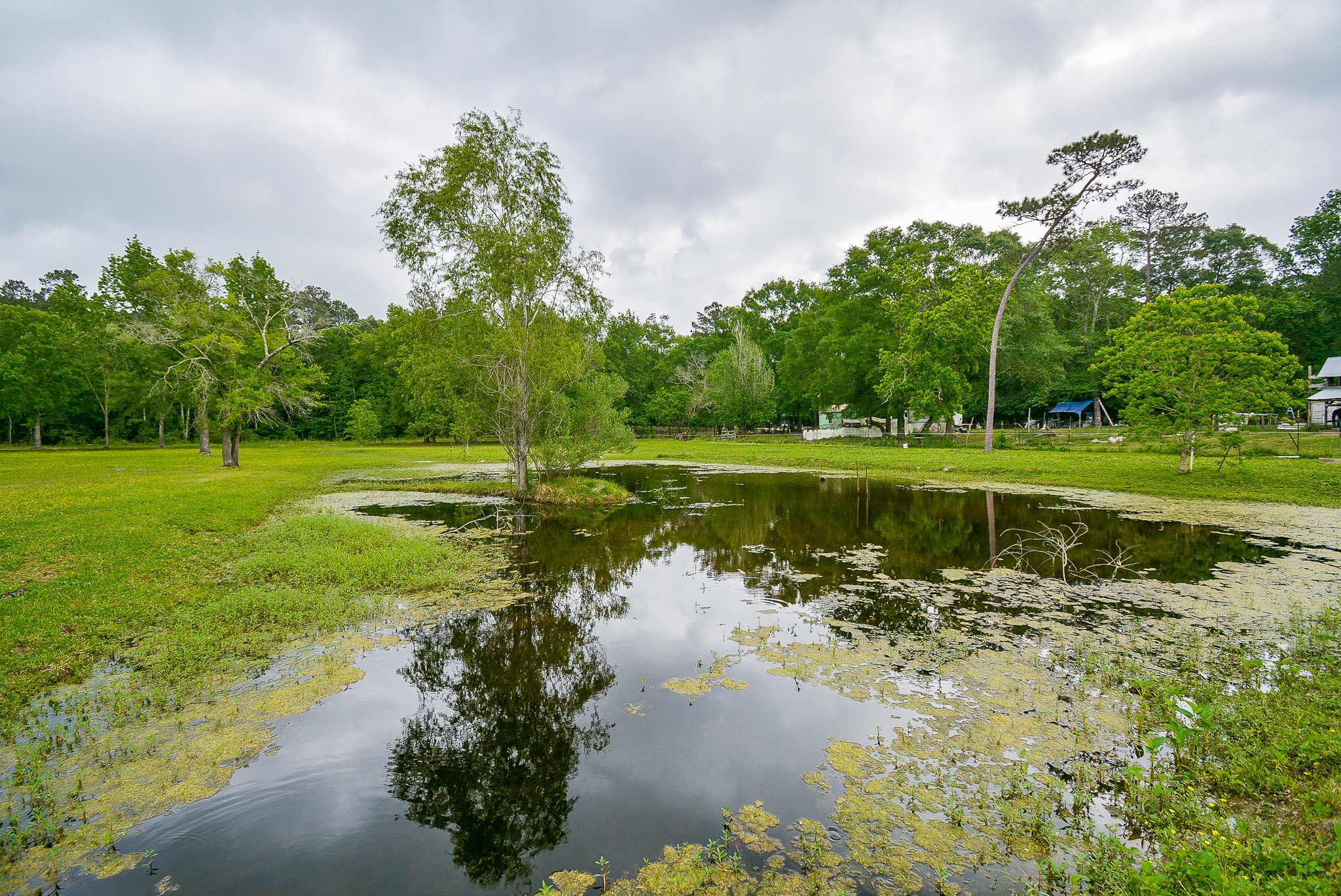 TBD Lake Dr , Splendora, TX, 77372 | 15017686 | Realty Texas LLC
