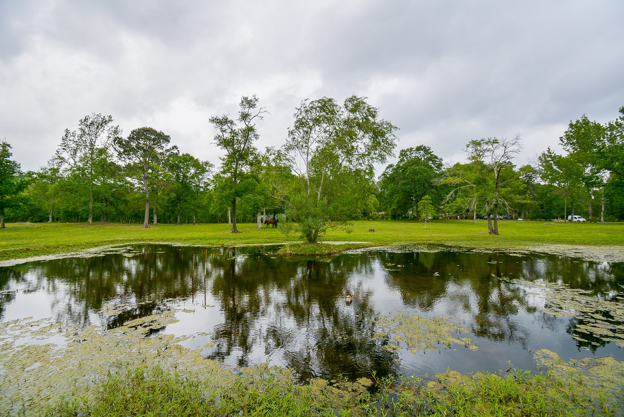 TBD Lake Dr , Splendora, TX, 77372 | 15017686 | Realty Texas LLC