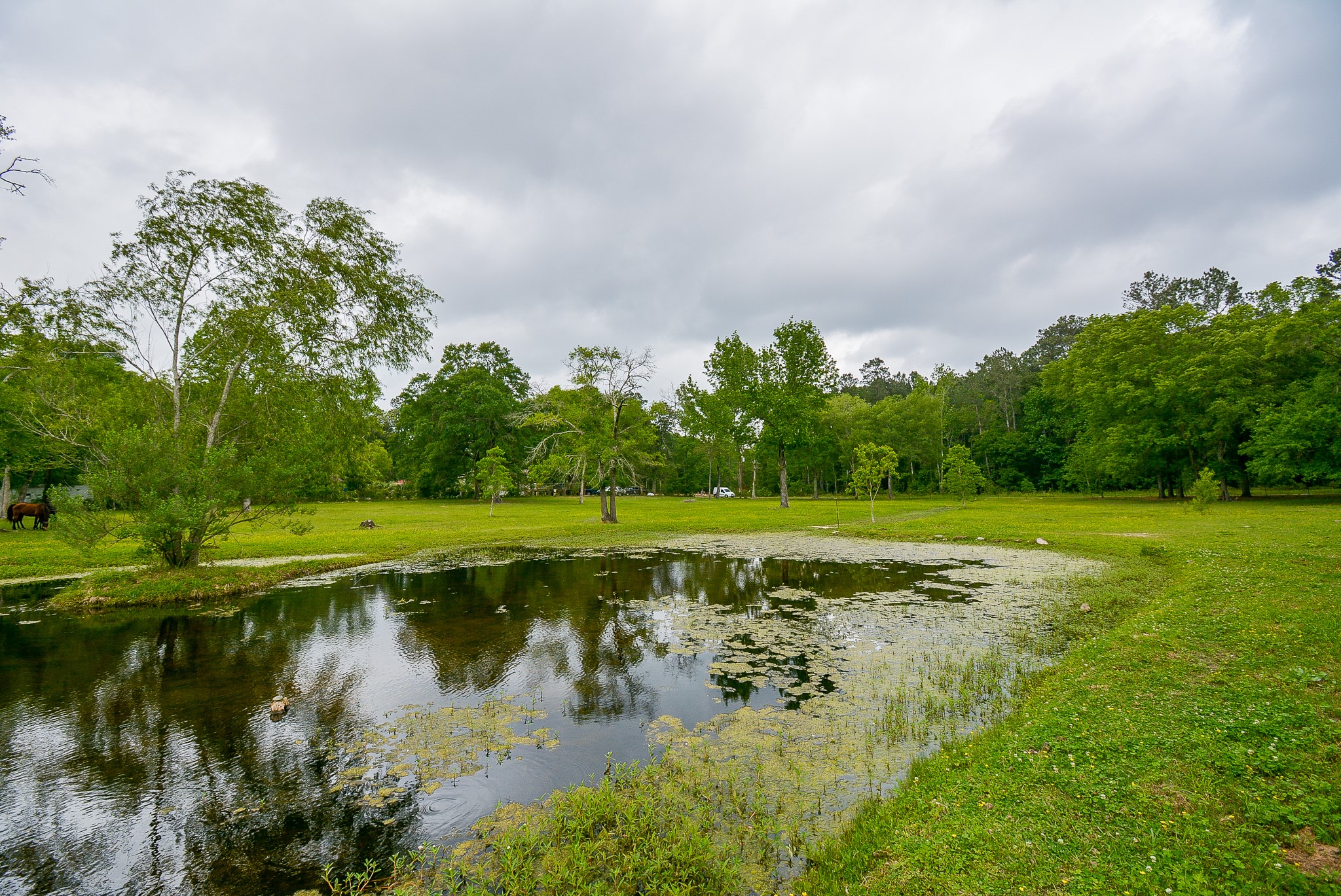 TBD Lake Dr , Splendora, TX, 77372 | 15017686 | Realty Texas LLC