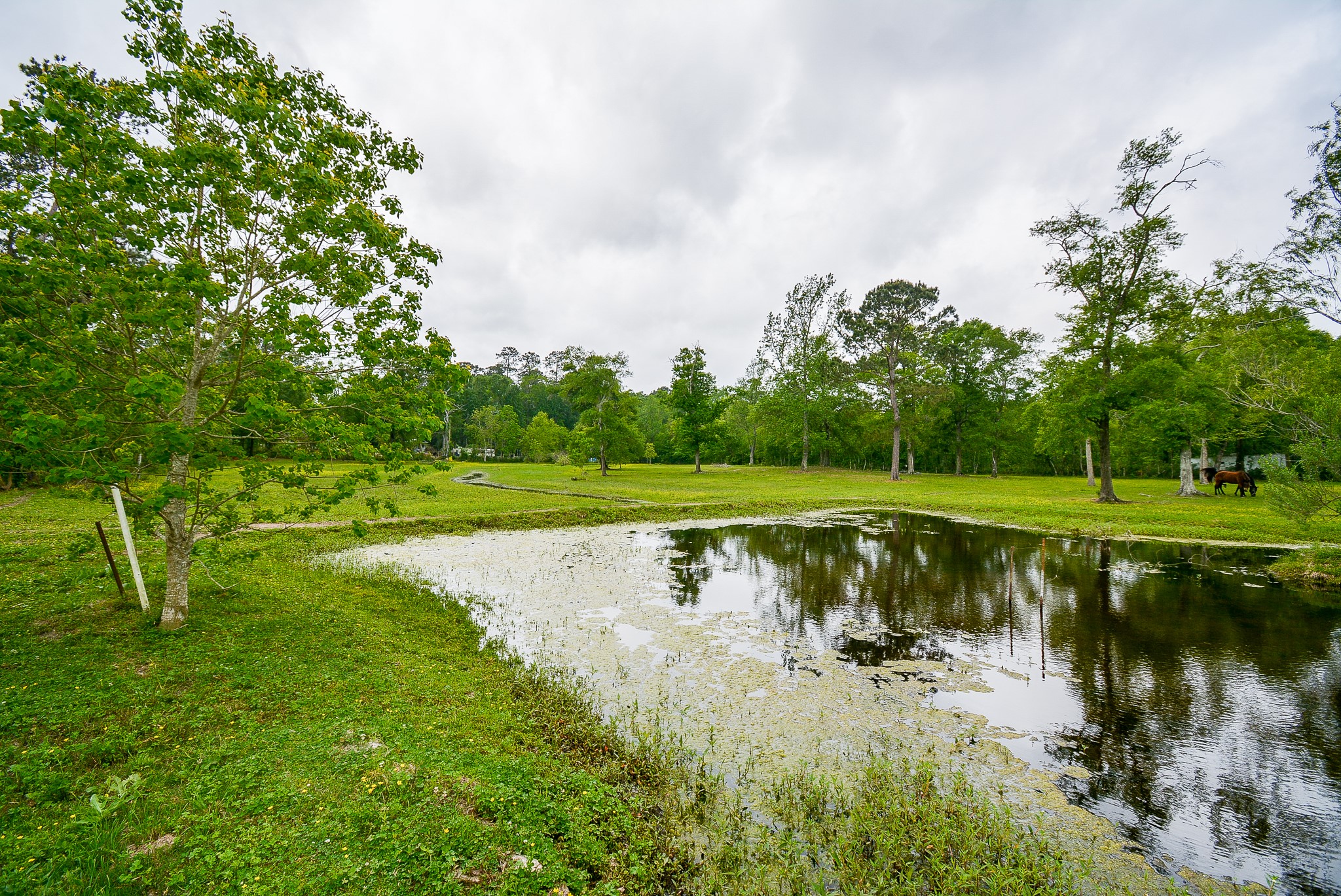 TBD Lake Dr , Splendora, TX, 77372 | 15017686 | Realty Texas LLC