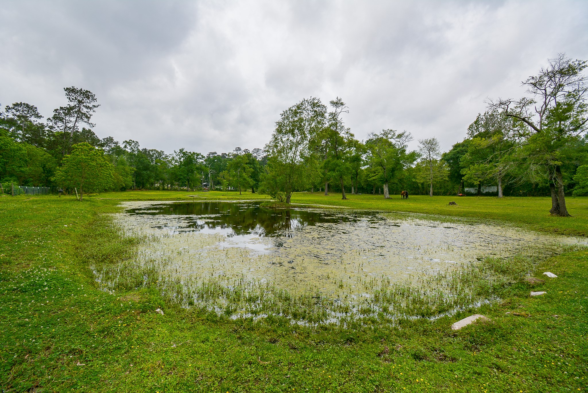 TBD Lake Dr , Splendora, TX, 77372 | 15017686 | Realty Texas LLC