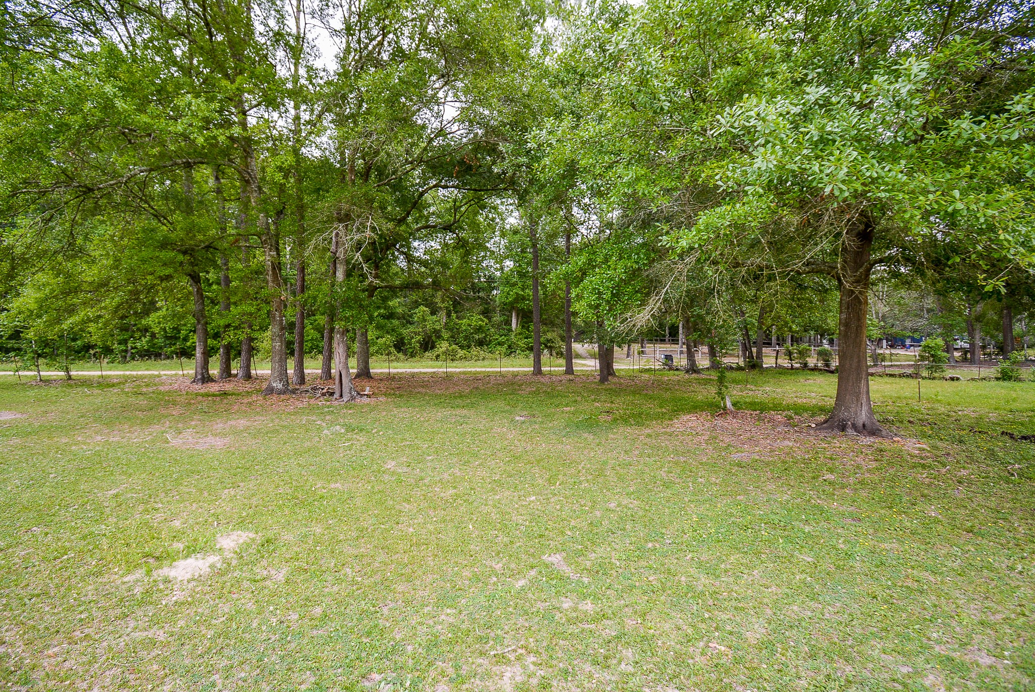 TBD Lake Dr , Splendora, TX, 77372 | 15017686 | Realty Texas LLC