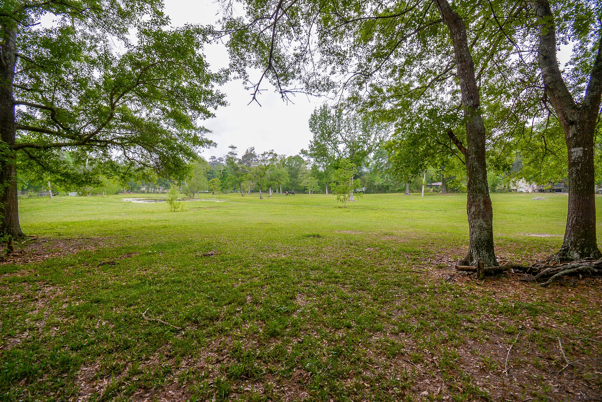 TBD Lake Dr , Splendora, TX, 77372 | 15017686 | Realty Texas LLC