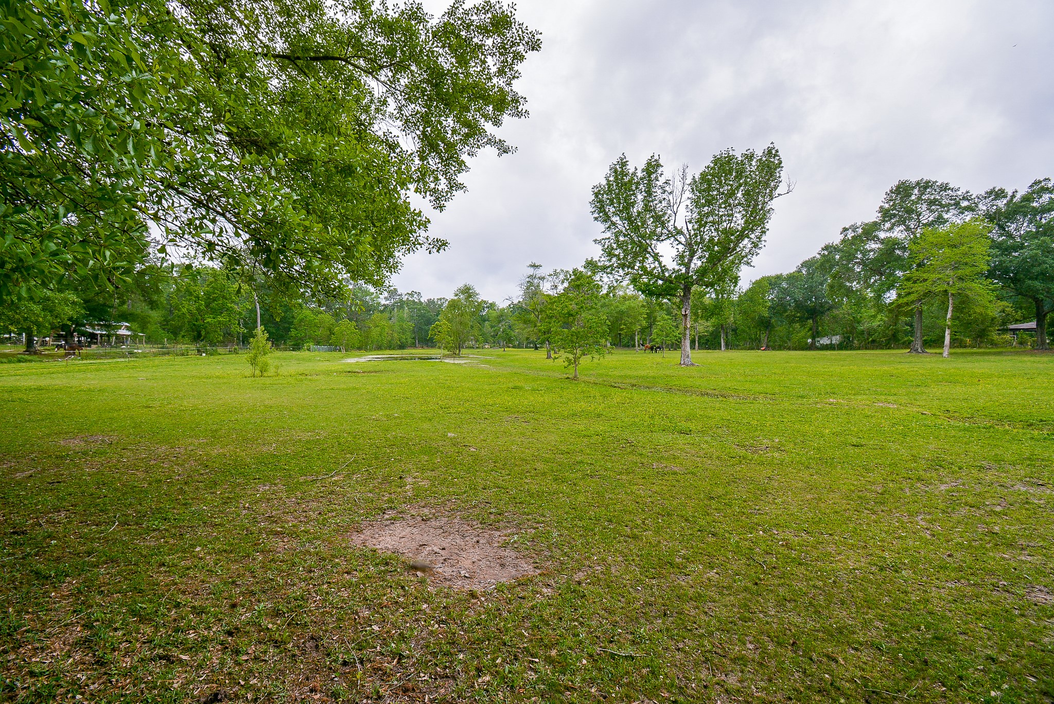 TBD Lake Dr , Splendora, TX, 77372 | 15017686 | Realty Texas LLC