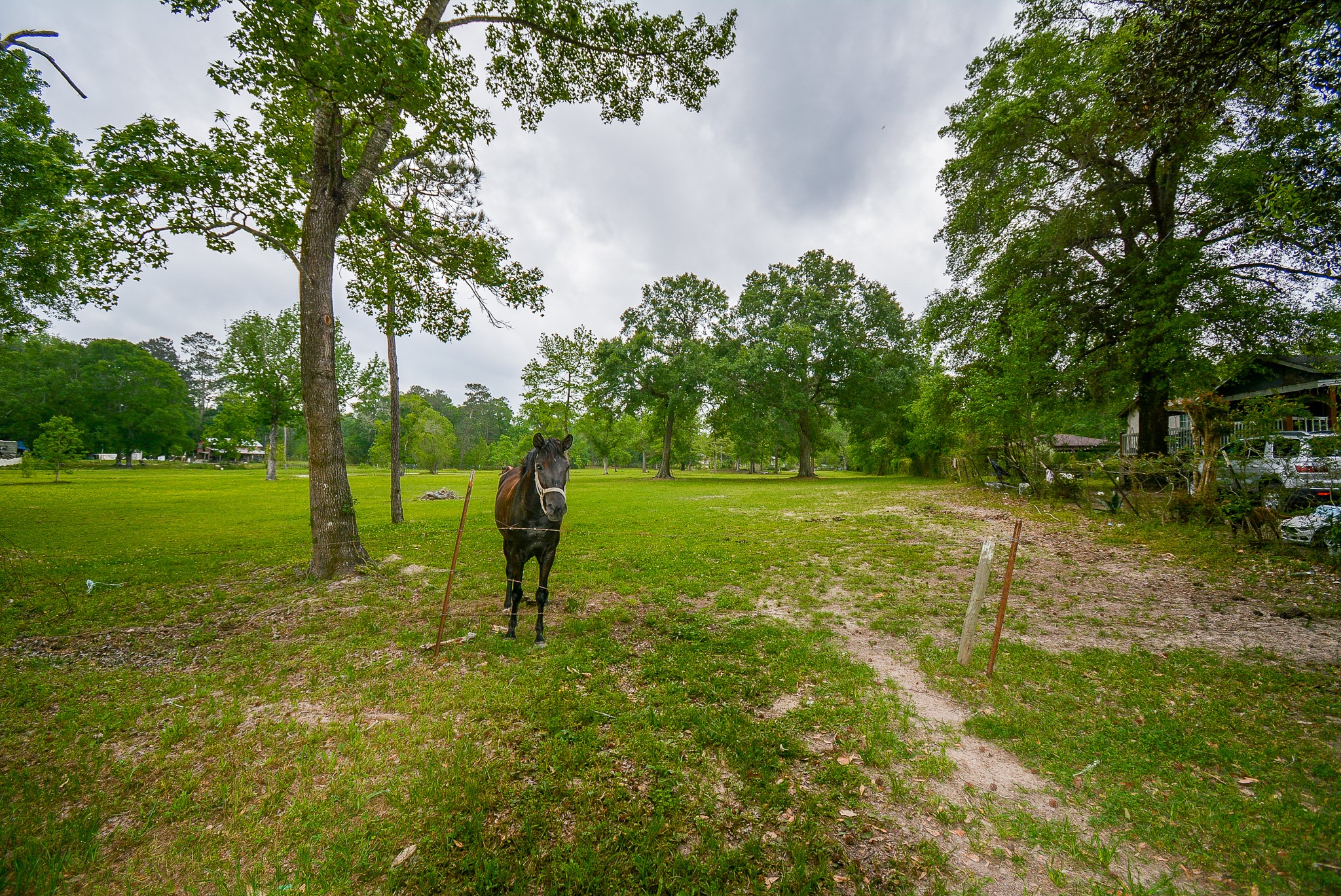 TBD Lake Dr , Splendora, TX, 77372 | 15017686 | Realty Texas LLC