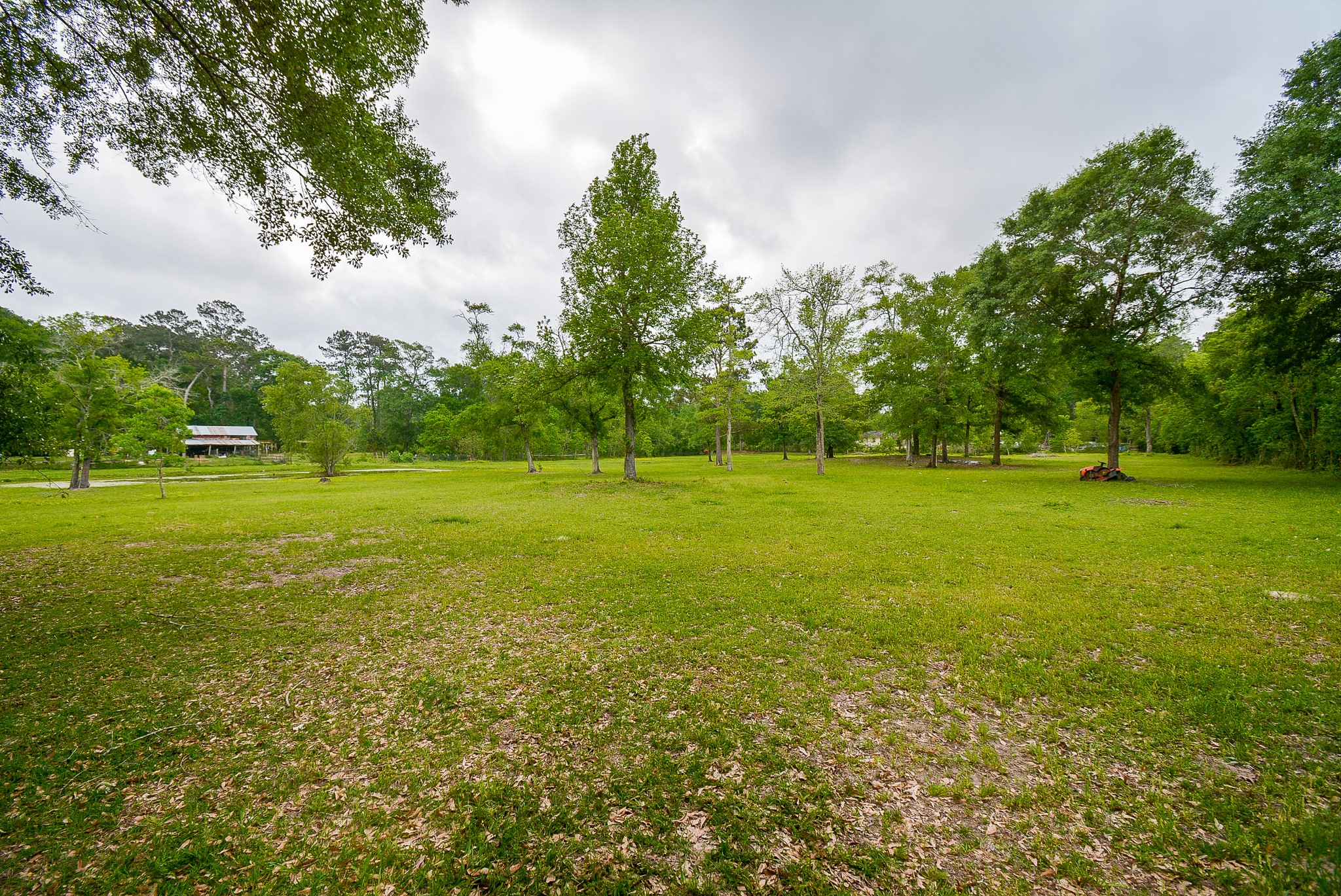 TBD Lake Dr , Splendora, TX, 77372 | 15017686 | Realty Texas LLC