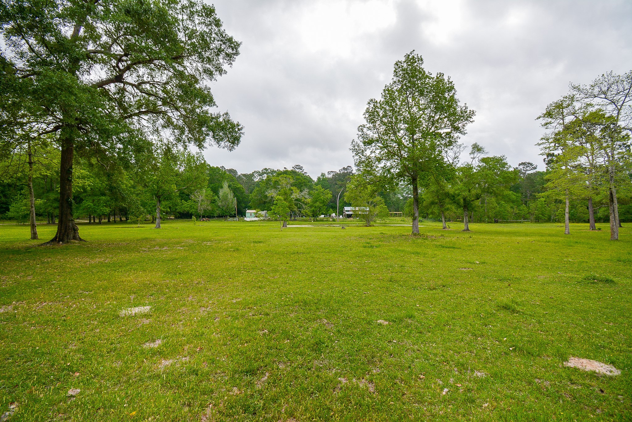 TBD Lake Dr , Splendora, TX, 77372 | 15017686 | Realty Texas LLC
