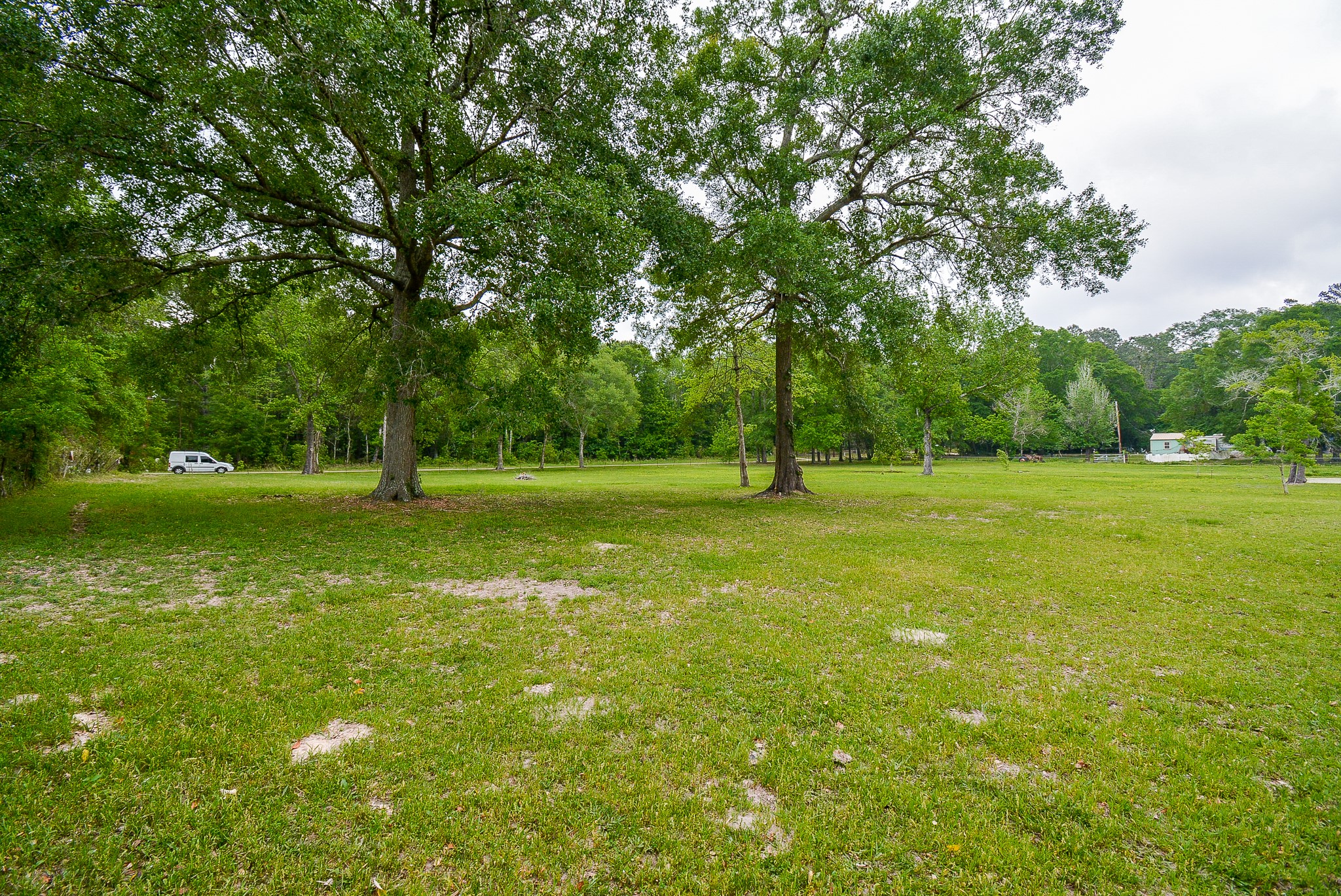 TBD Lake Dr , Splendora, TX, 77372 | 15017686 | Realty Texas LLC