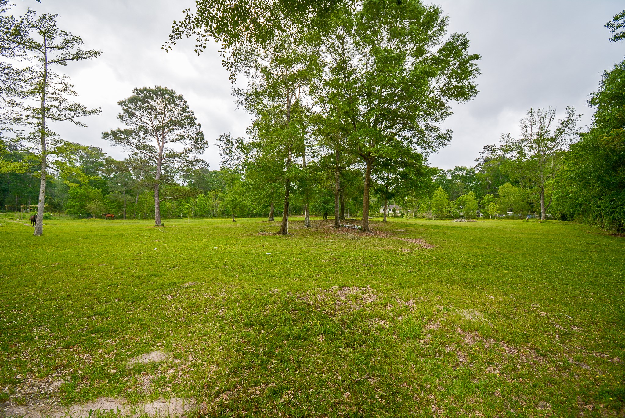 TBD Lake Dr , Splendora, TX, 77372 | 15017686 | Realty Texas LLC