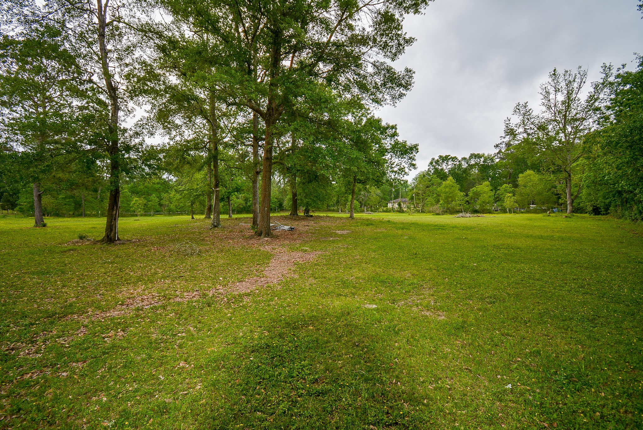 TBD Lake Dr , Splendora, TX, 77372 | 15017686 | Realty Texas LLC