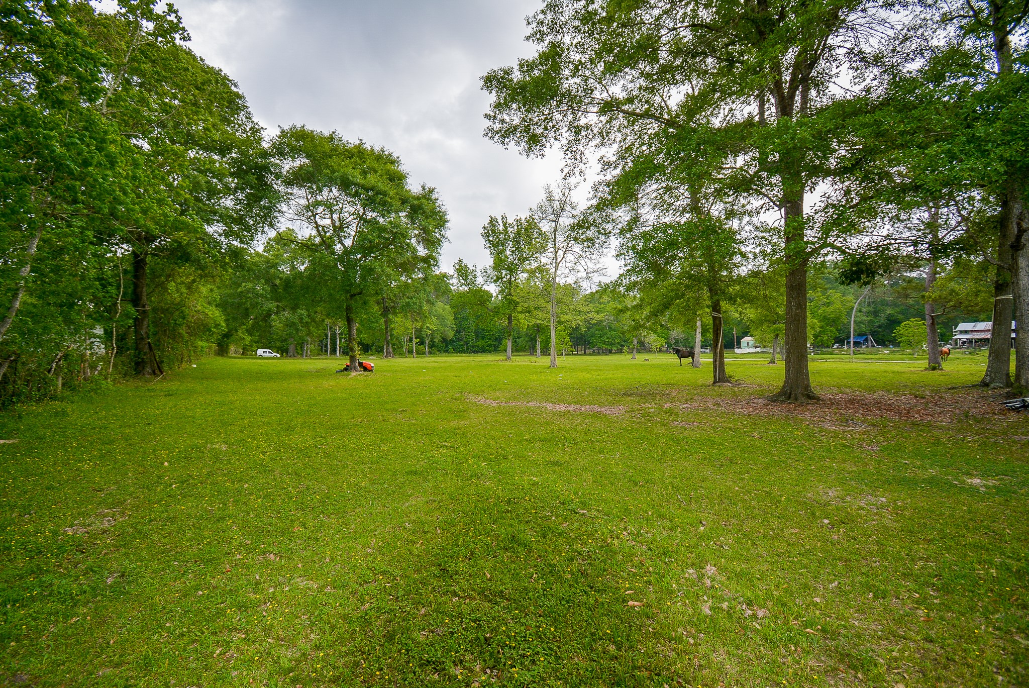 TBD Lake Dr , Splendora, TX, 77372 | 15017686 | Realty Texas LLC