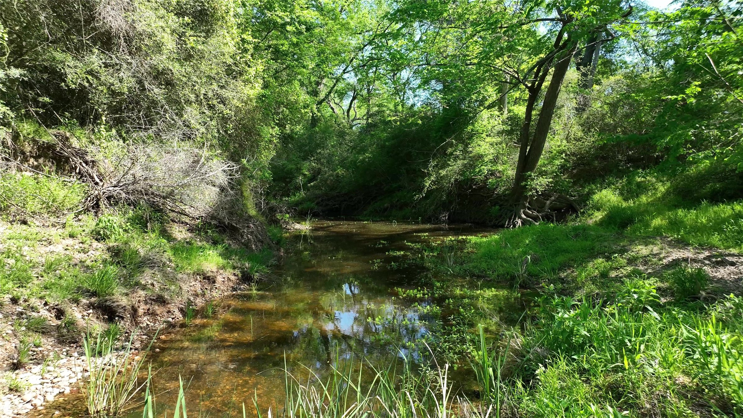 00 County Road 119 , Ledbetter, TX, 78946 | 79253348 | Realty Texas LLC