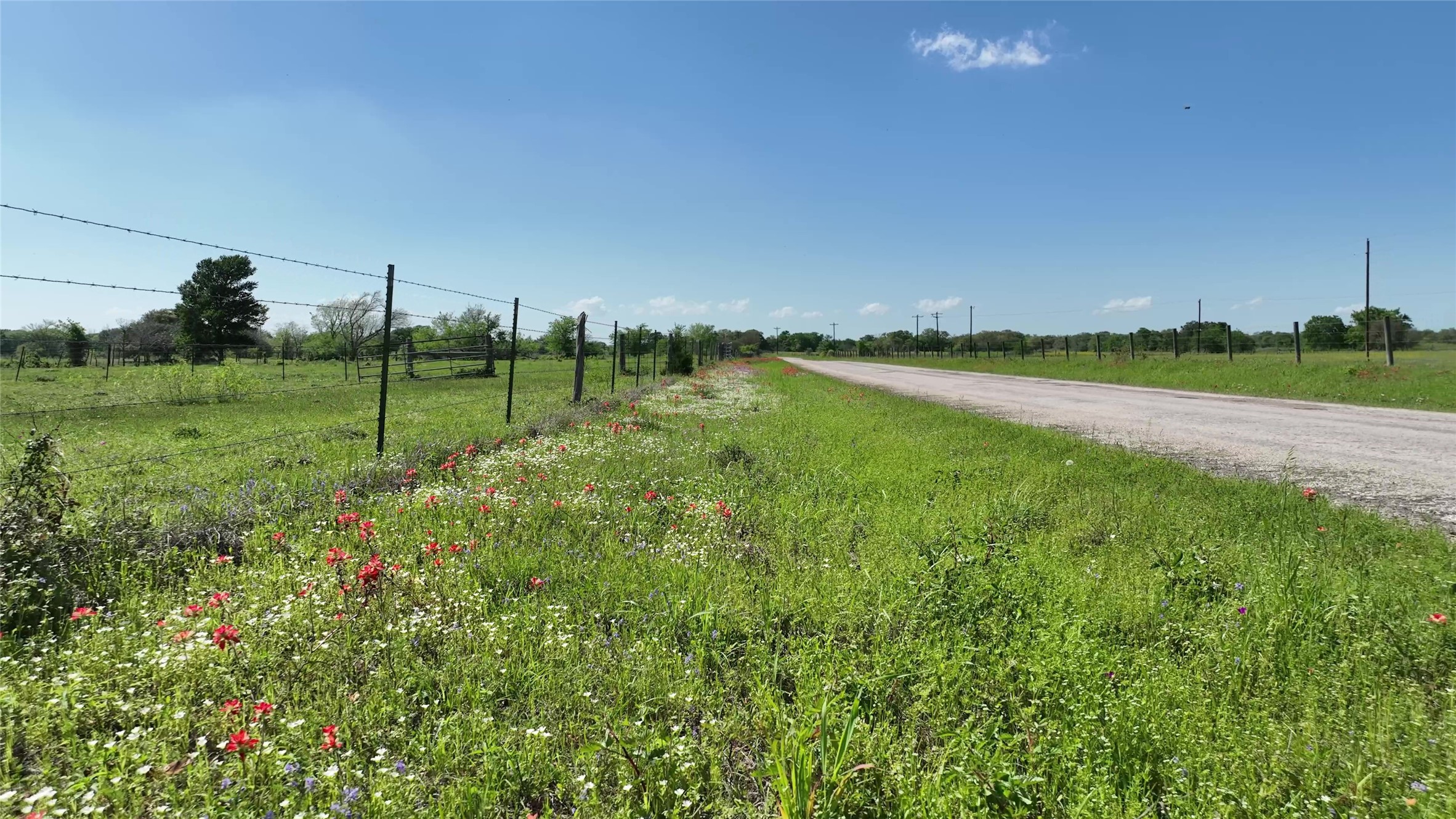 00 County Road 119 , Ledbetter, TX, 78946 | 79253348 | Realty Texas LLC