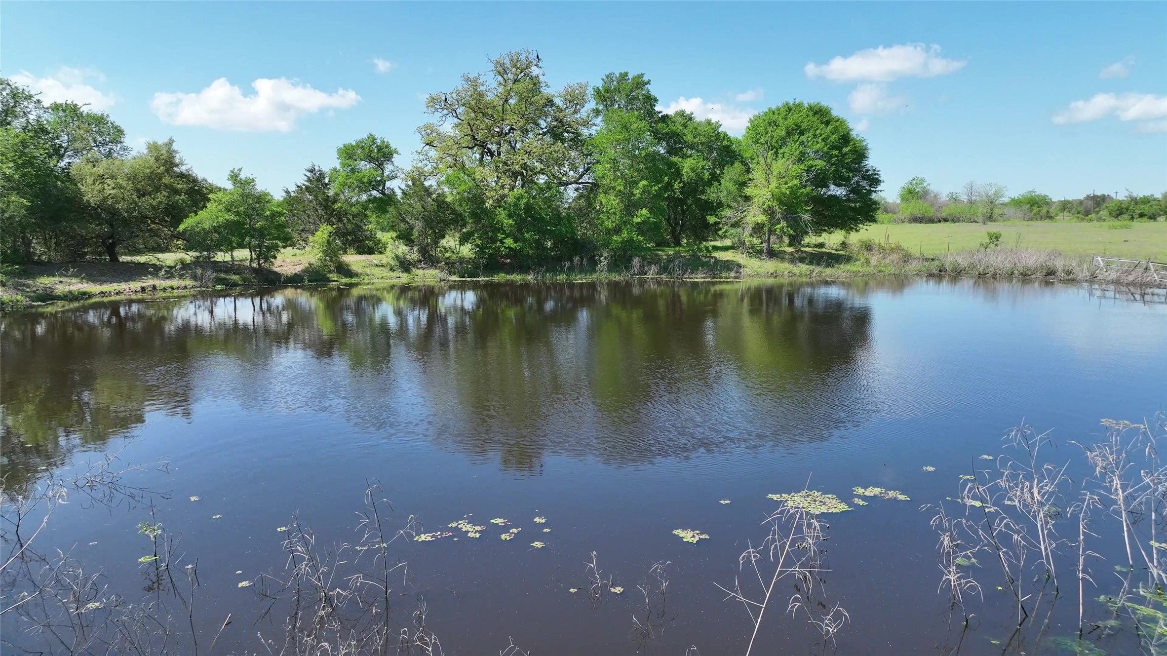 00 County Road 119 , Ledbetter, TX, 78946 | 79253348 | Realty Texas LLC