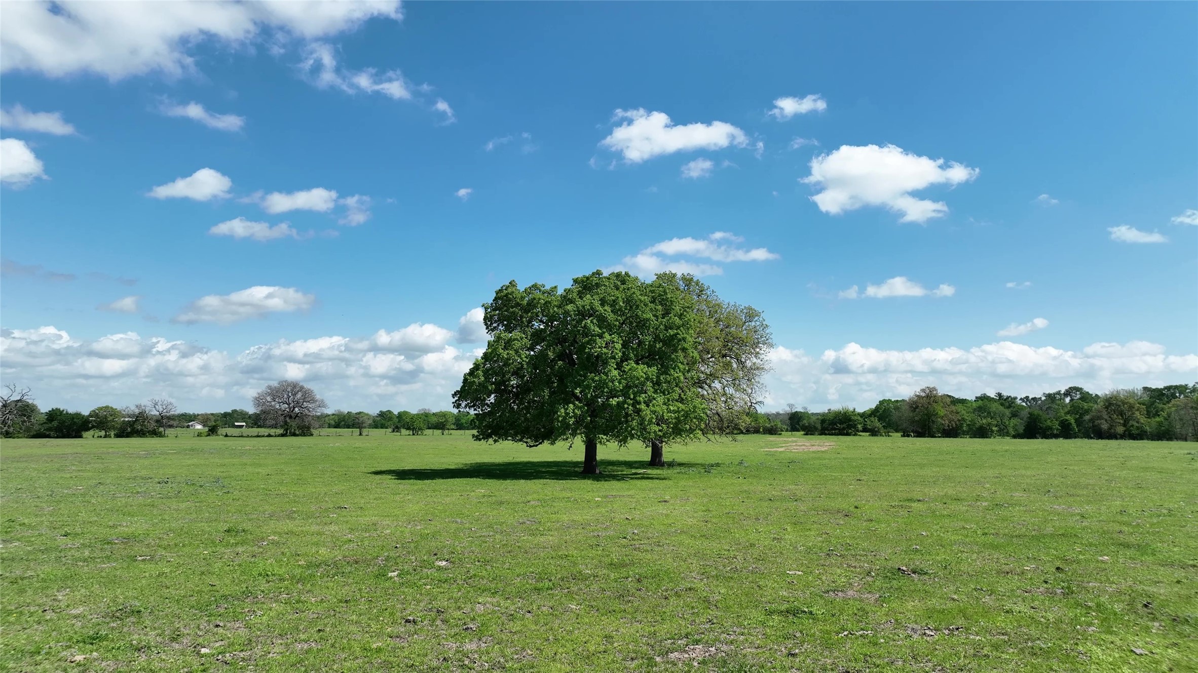 00 County Road 119 , Ledbetter, TX, 78946 | 79253348 | Realty Texas LLC