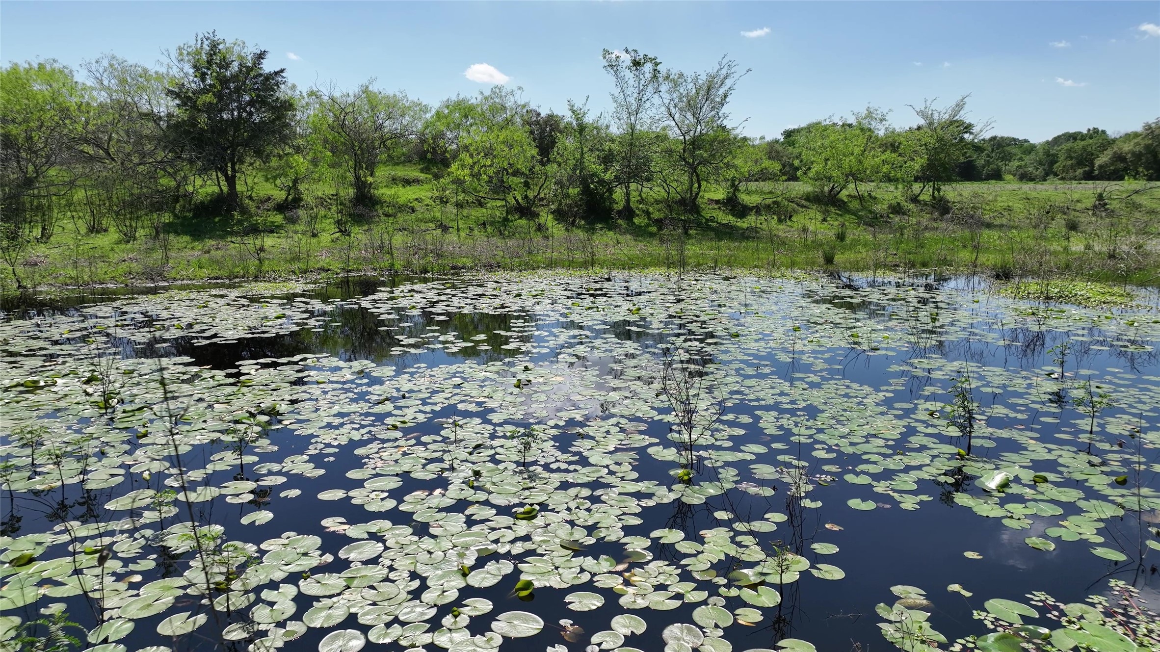 00 County Road 119 , Ledbetter, TX, 78946 | 79253348 | Realty Texas LLC