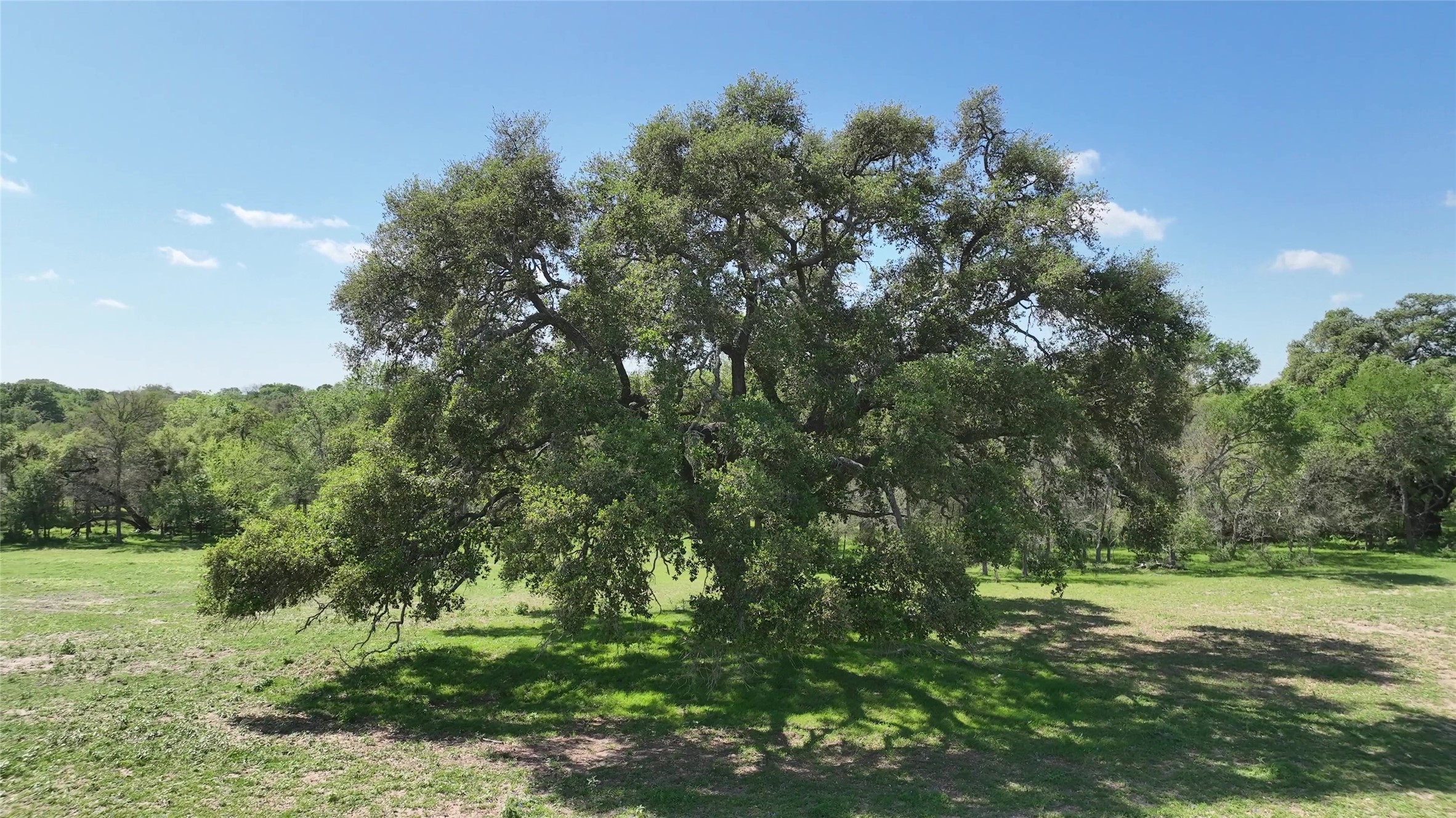00 County Road 119 , Ledbetter, TX, 78946 | 79253348 | Realty Texas LLC