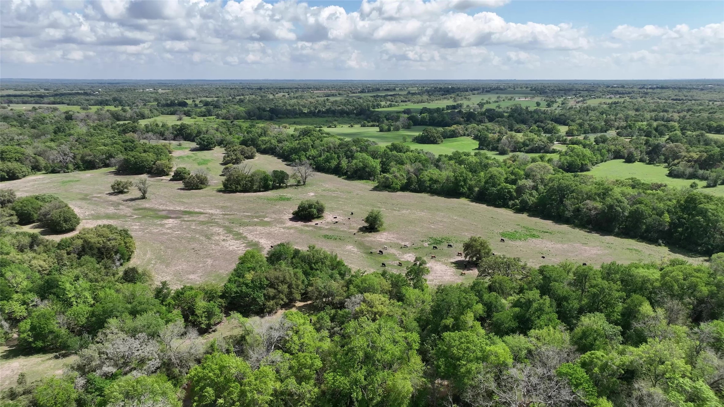 00 County Road 119 , Ledbetter, TX, 78946 | 79253348 | Realty Texas LLC