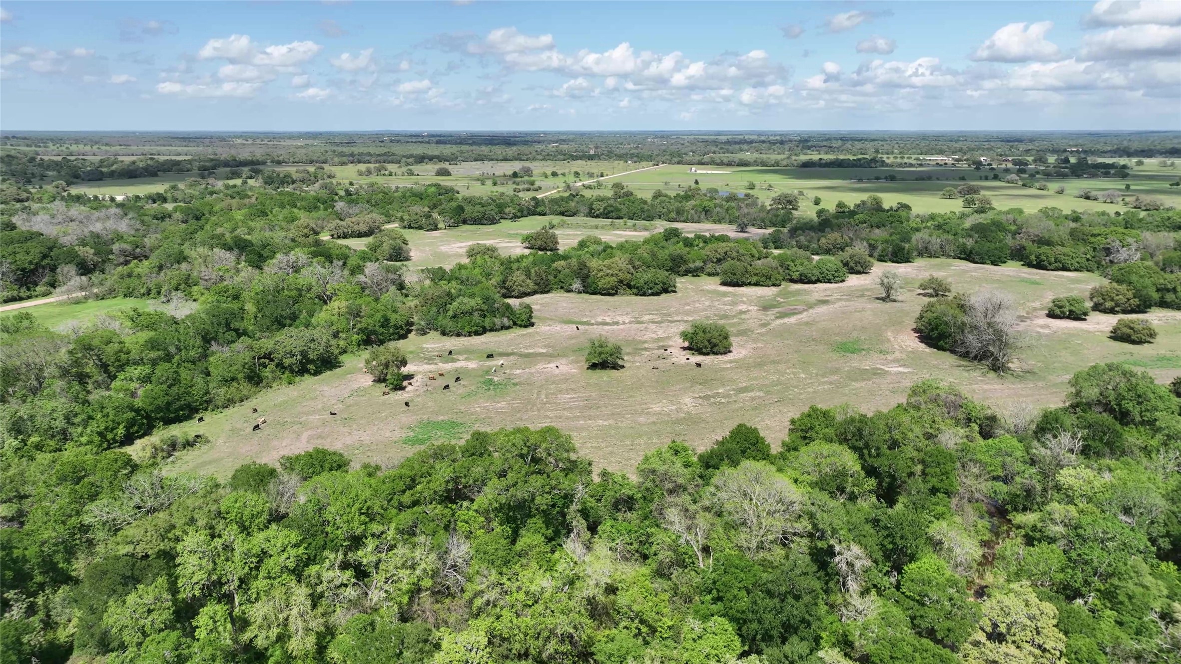 00 County Road 119 , Ledbetter, TX, 78946 | 79253348 | Realty Texas LLC