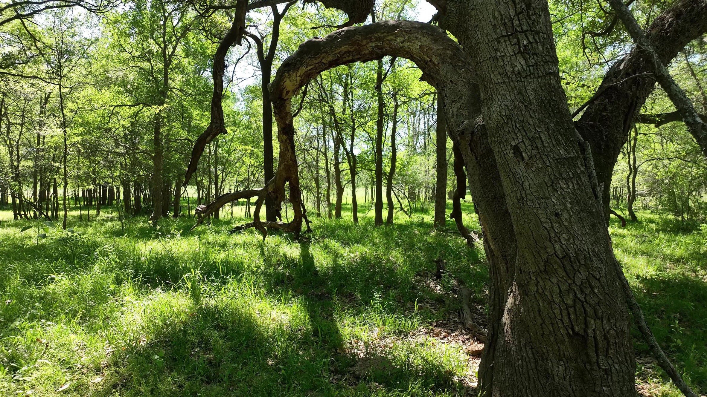 00 County Road 119 , Ledbetter, TX, 78946 | 79253348 | Realty Texas LLC