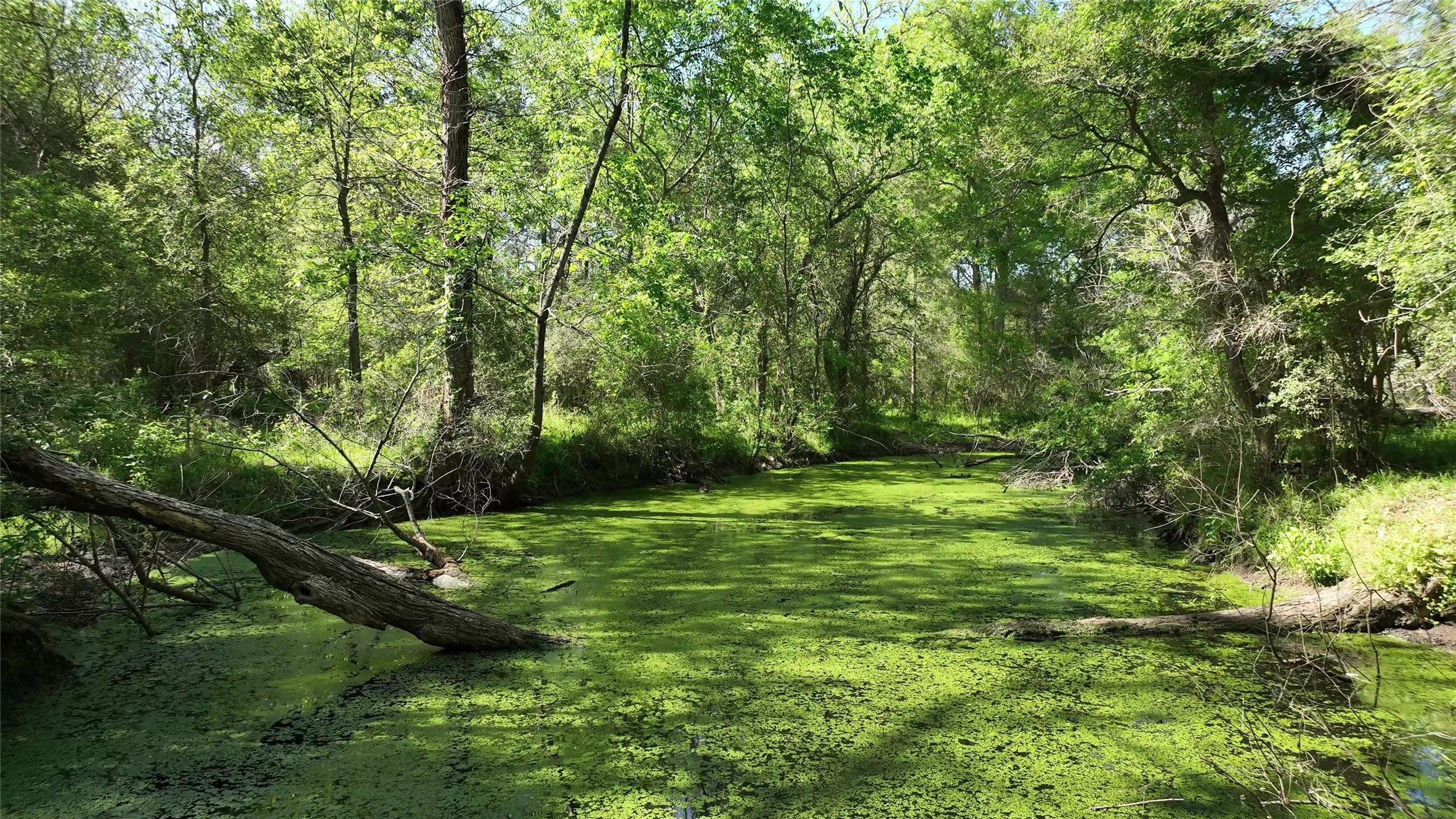 00 County Road 119 , Ledbetter, TX, 78946 | 79253348 | Realty Texas LLC
