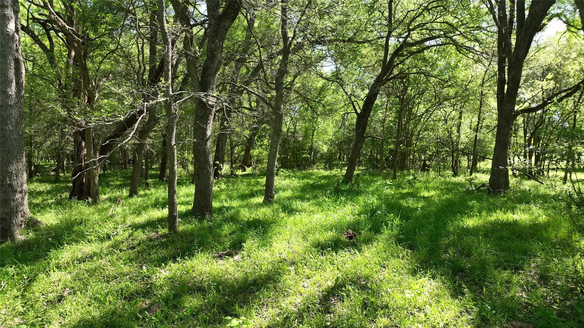00 County Road 119 , Ledbetter, TX, 78946 | 79253348 | Realty Texas LLC