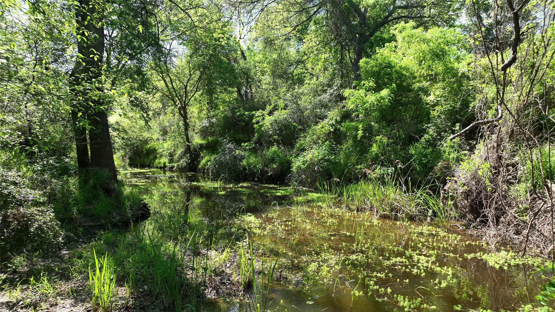 00 County Road 119 , Ledbetter, TX, 78946 | 79253348 | Realty Texas LLC