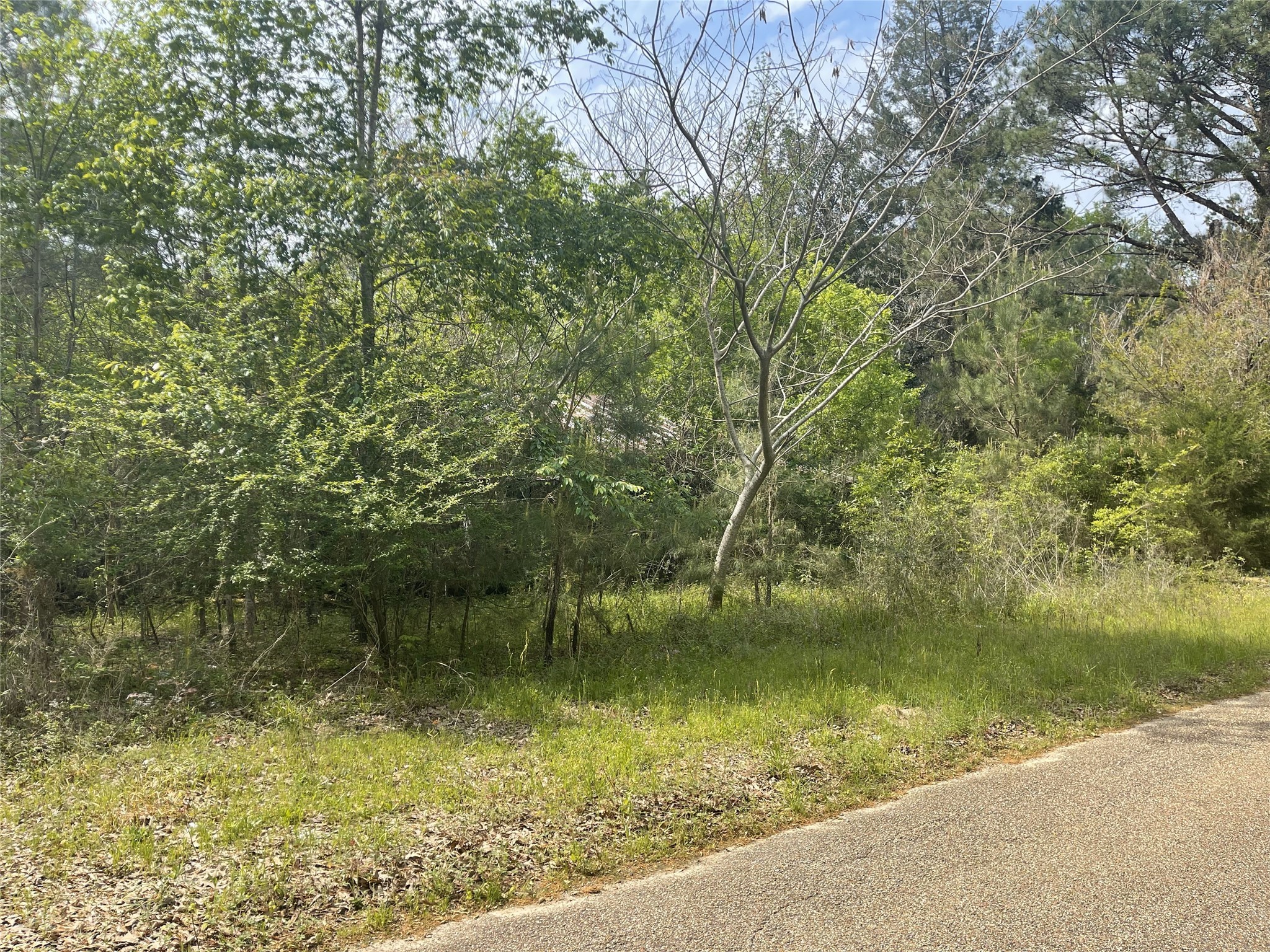 826 Social Springs Road , Ringgold, LA, 71068 | 20296923 | Realty Texas LLC