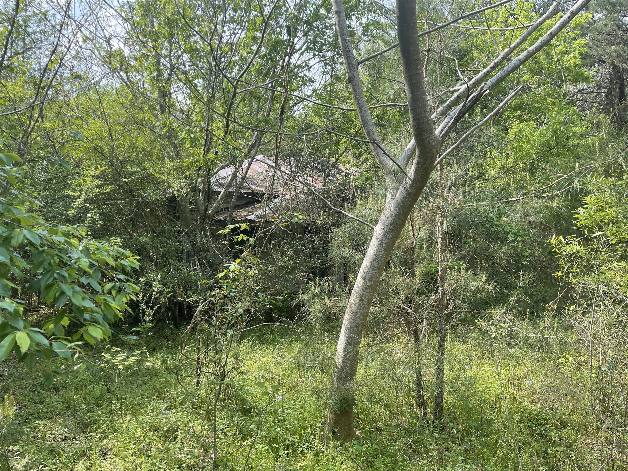 826 Social Springs Road , Ringgold, LA, 71068 | 20296923 | Realty Texas LLC