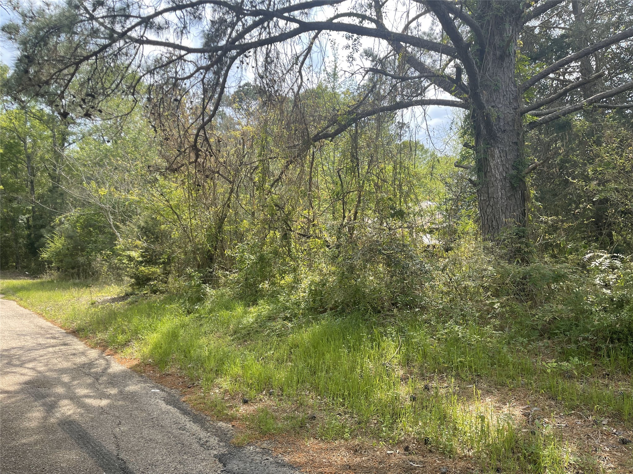 826 Social Springs Road , Ringgold, LA, 71068 | 20296923 | Realty Texas LLC