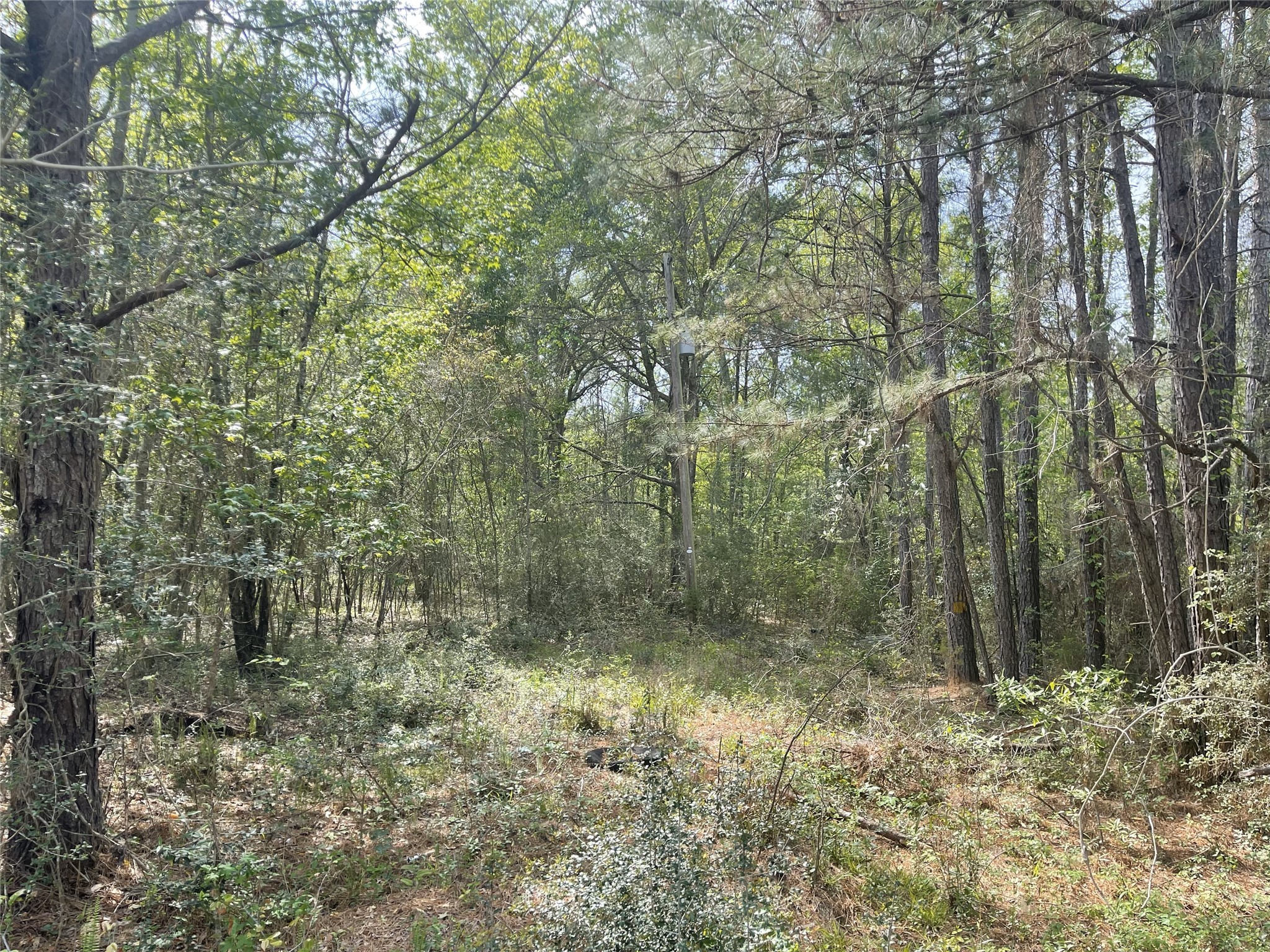 826 Social Springs Road , Ringgold, LA, 71068 | 20296923 | Realty Texas LLC