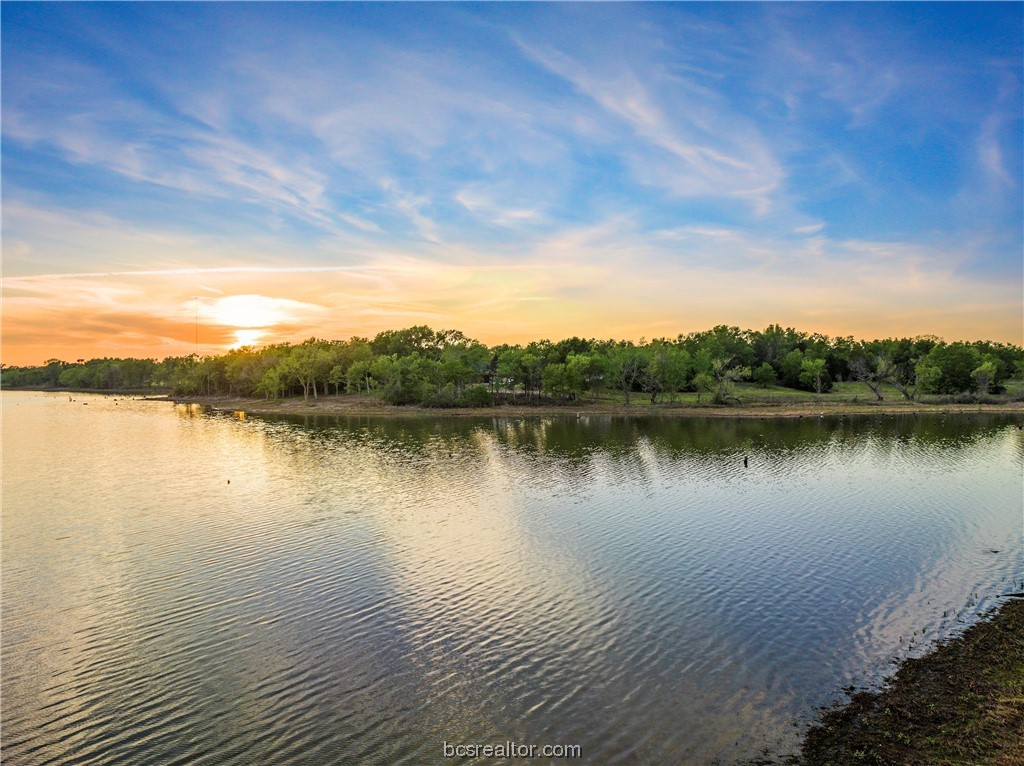 Lot 15 LCR 740 , Thornton, TX, 76687 | 23005592 | Realty Texas LLC