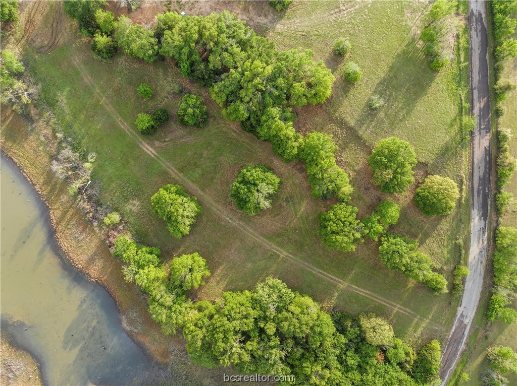 Lot 15 LCR 740 , Thornton, TX, 76687 | 23005592 | Realty Texas LLC