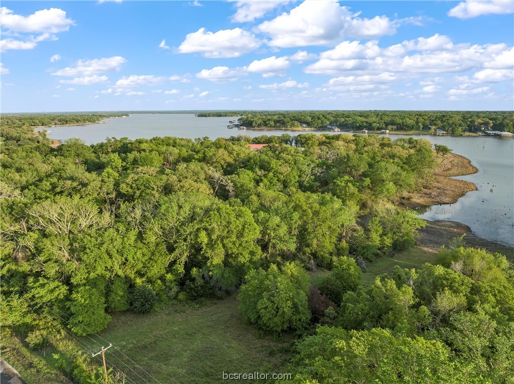 Lot 15 LCR 740 , Thornton, TX, 76687 | 23005592 | Realty Texas LLC