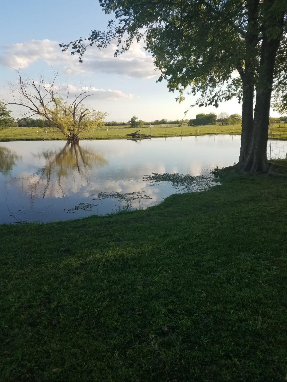 19203 Fm 429 , Terrell, TX, 75161 | 20298529 | Realty Texas LLC