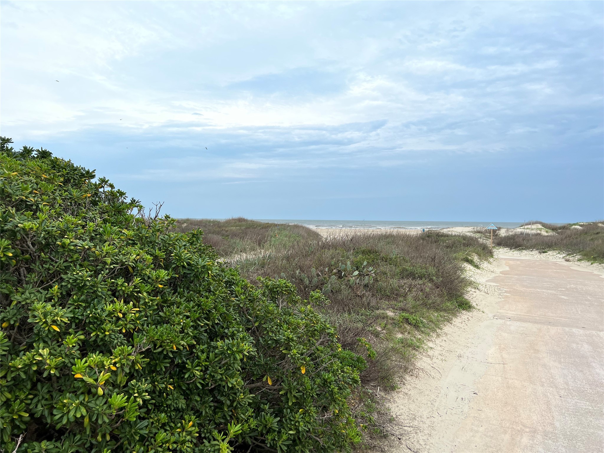 4002 Mendocino , Galveston, TX, 77554 | 91556304 | Realty Texas LLC